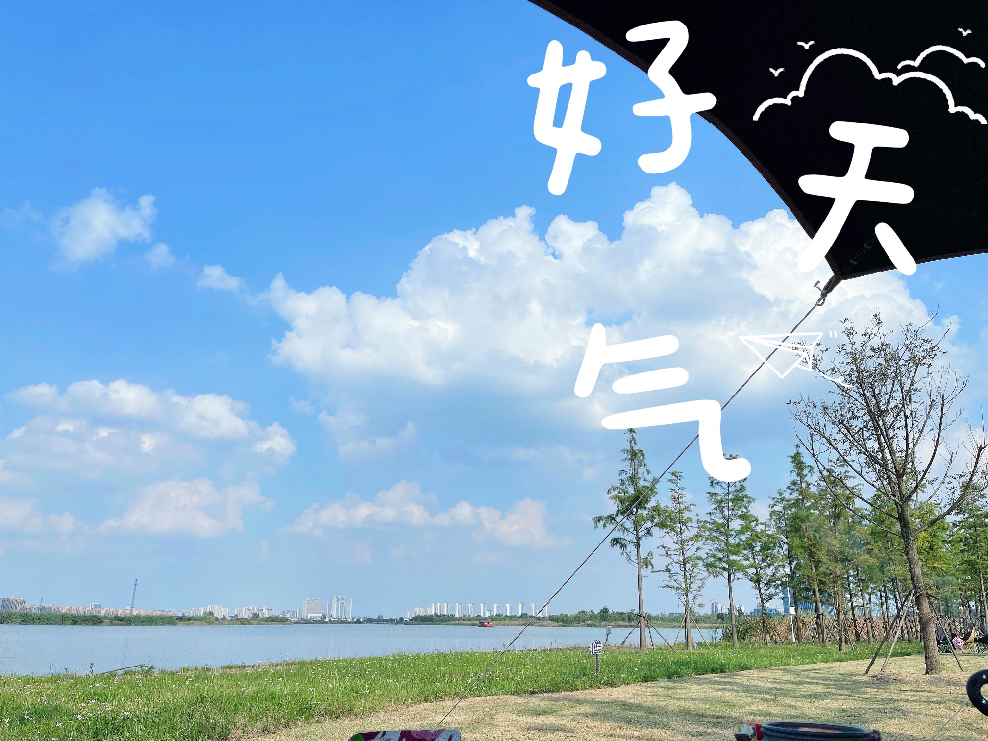 謇公湖生态公园旅行图片 1