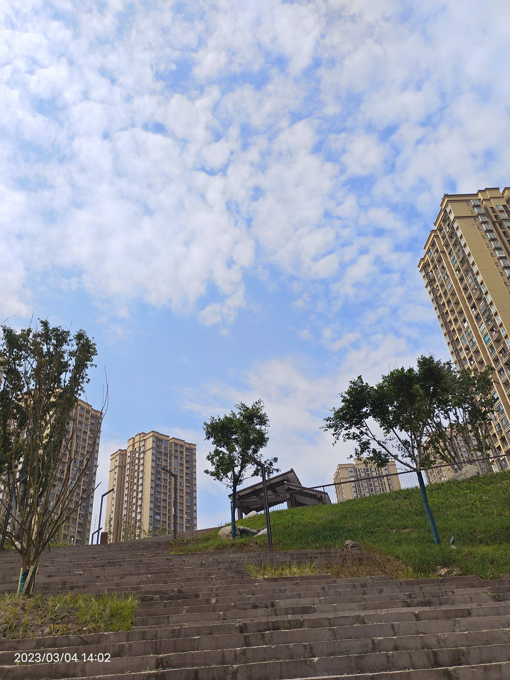 大渡口伏牛溪公园旅行图片 3