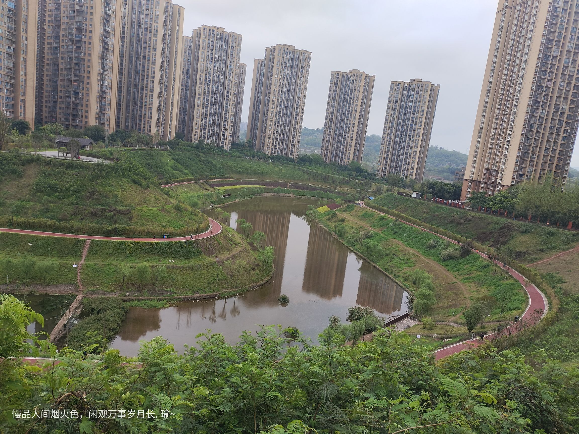 大渡口伏牛溪公园旅行图片 2