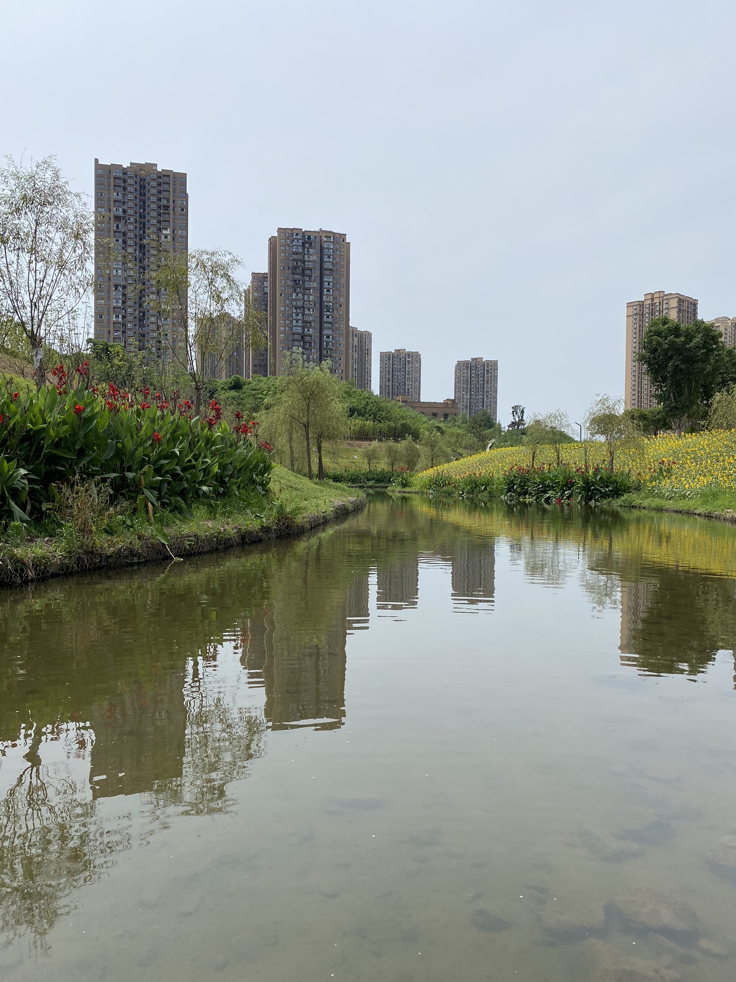 大渡口伏牛溪公园旅行图片 1