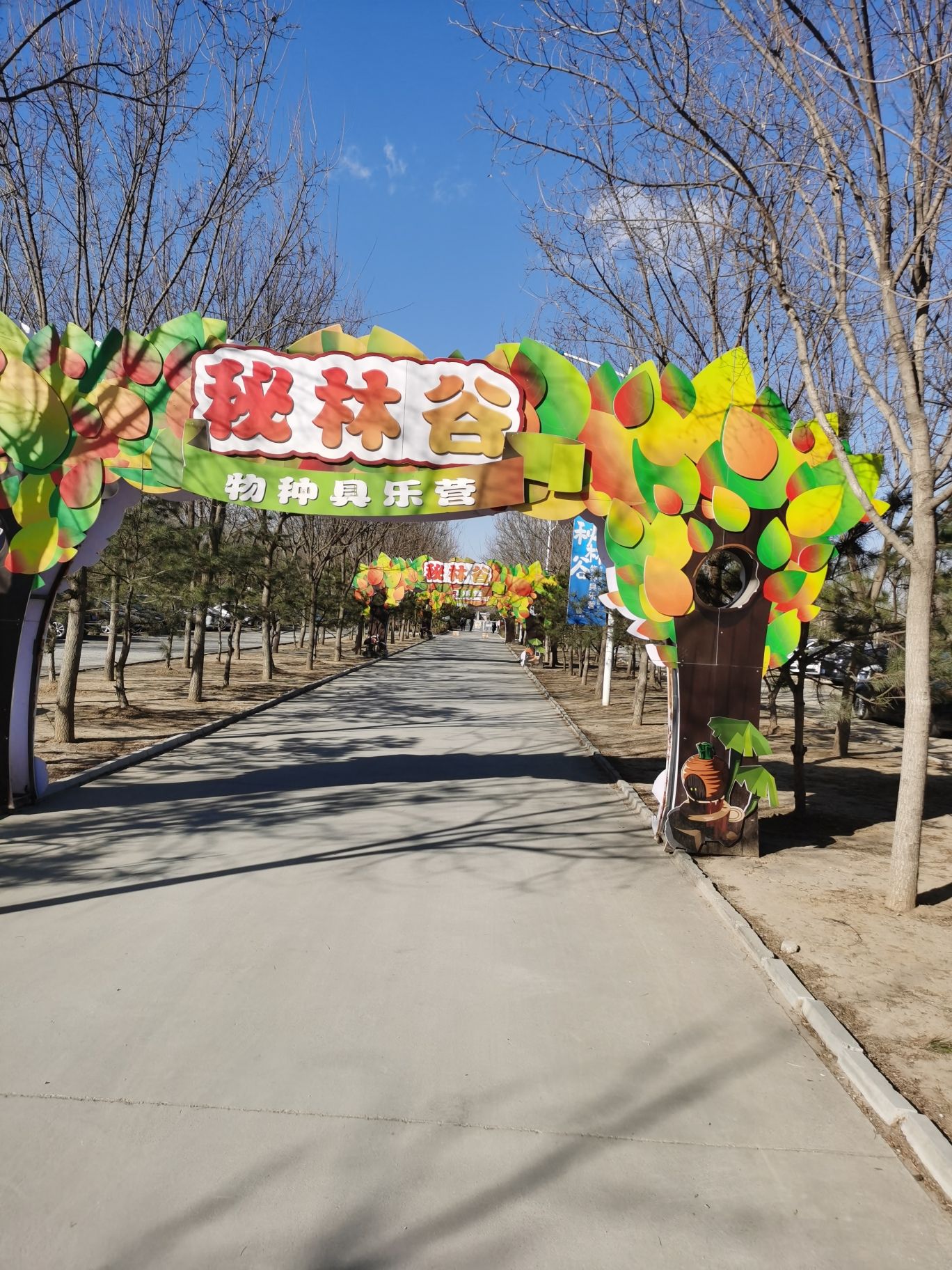 南宫秘林谷旅行图片 1