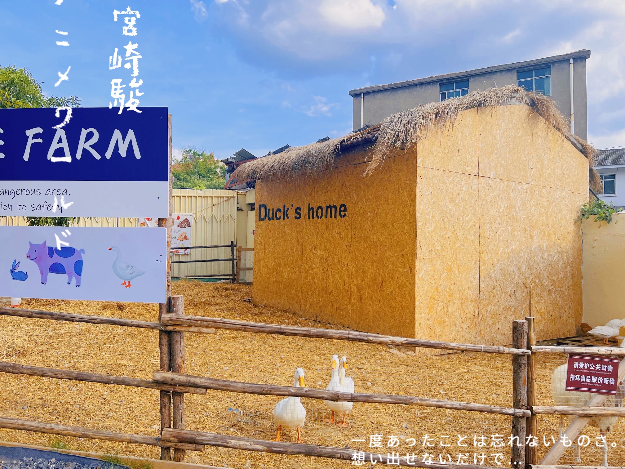 场地封面-HERRE·FARM赫尔露营农场