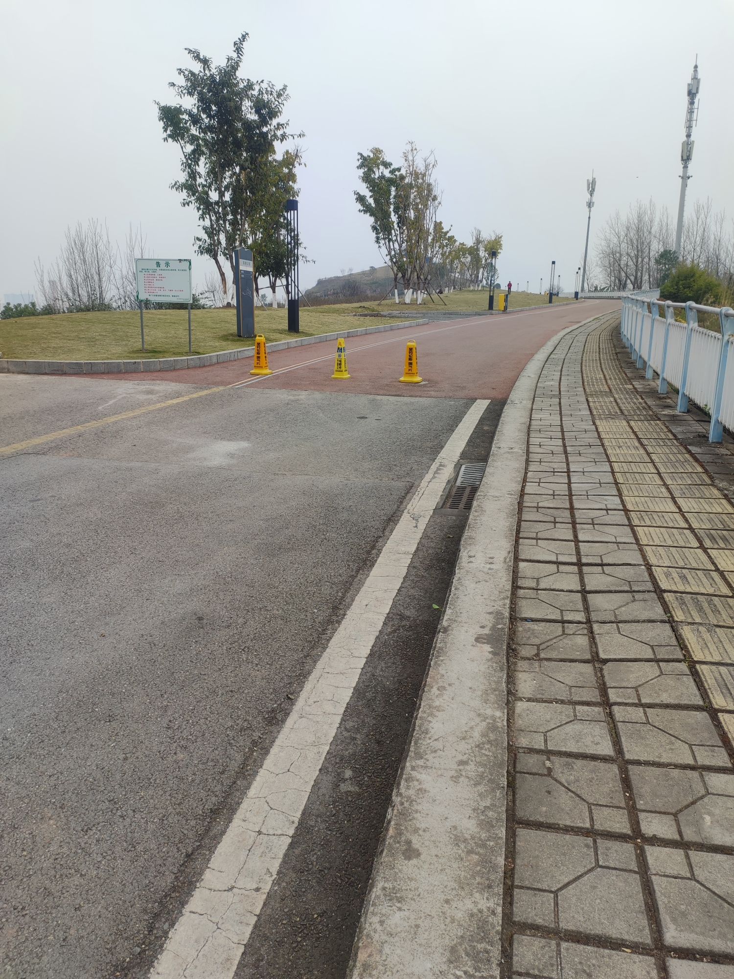两江嘉美公园旅行图片 1