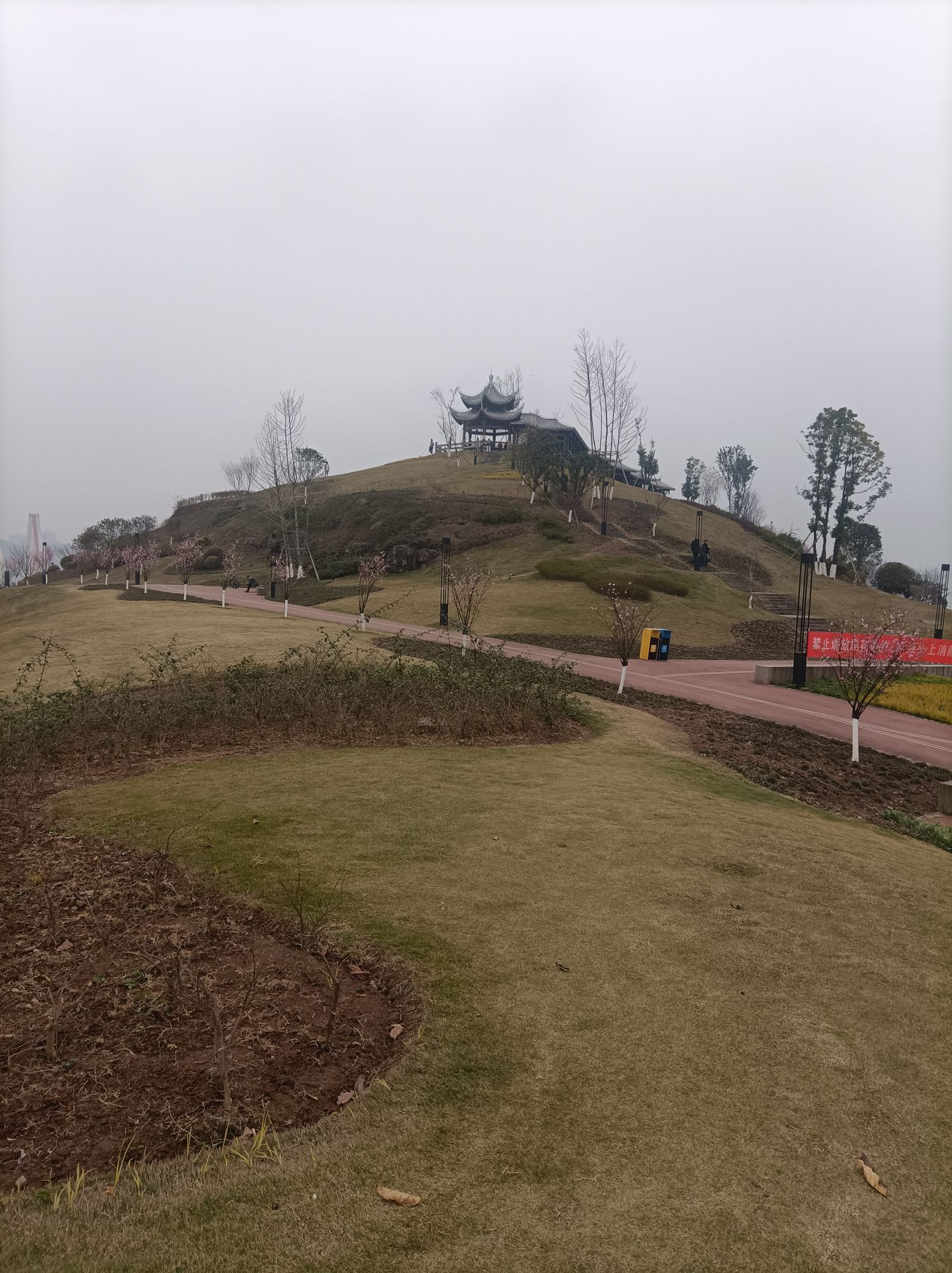 两江嘉美公园旅行图片 2