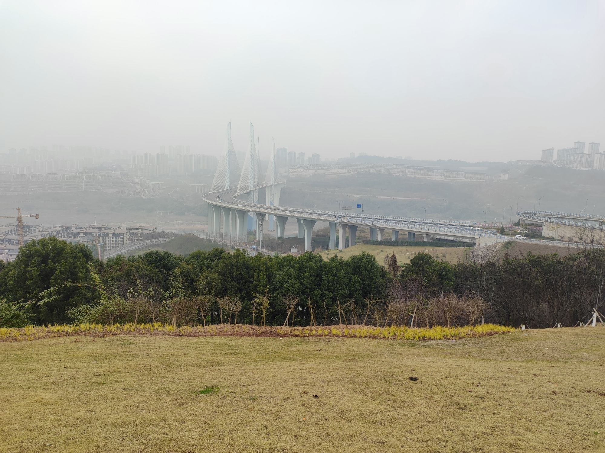 两江嘉美公园旅行图片 3