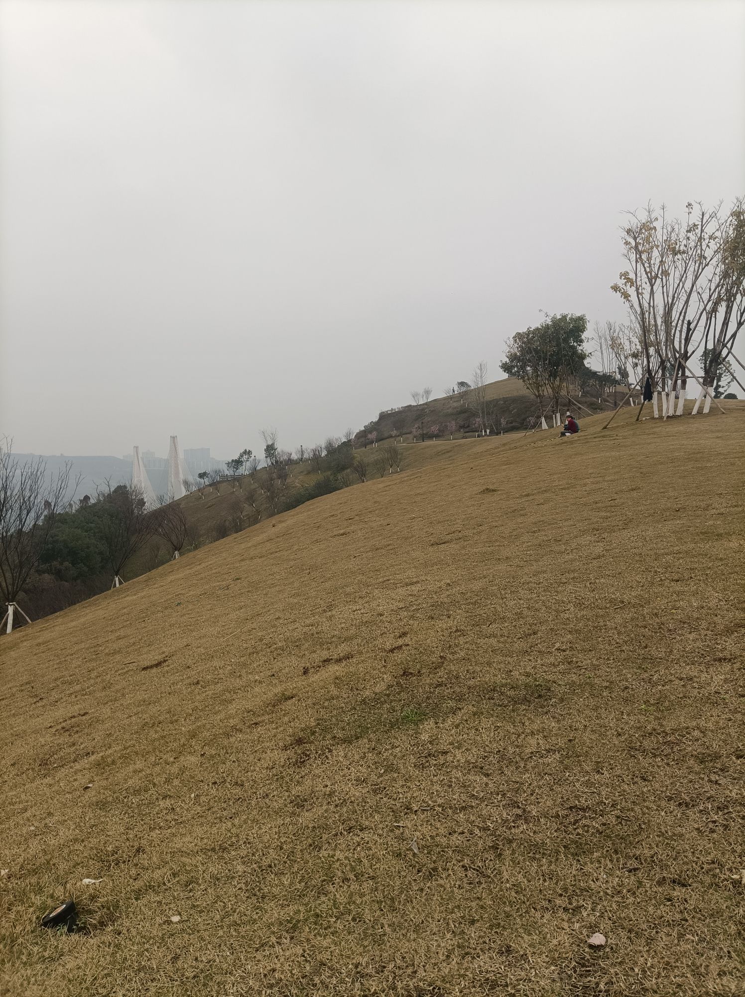 两江嘉美公园旅行图片 1