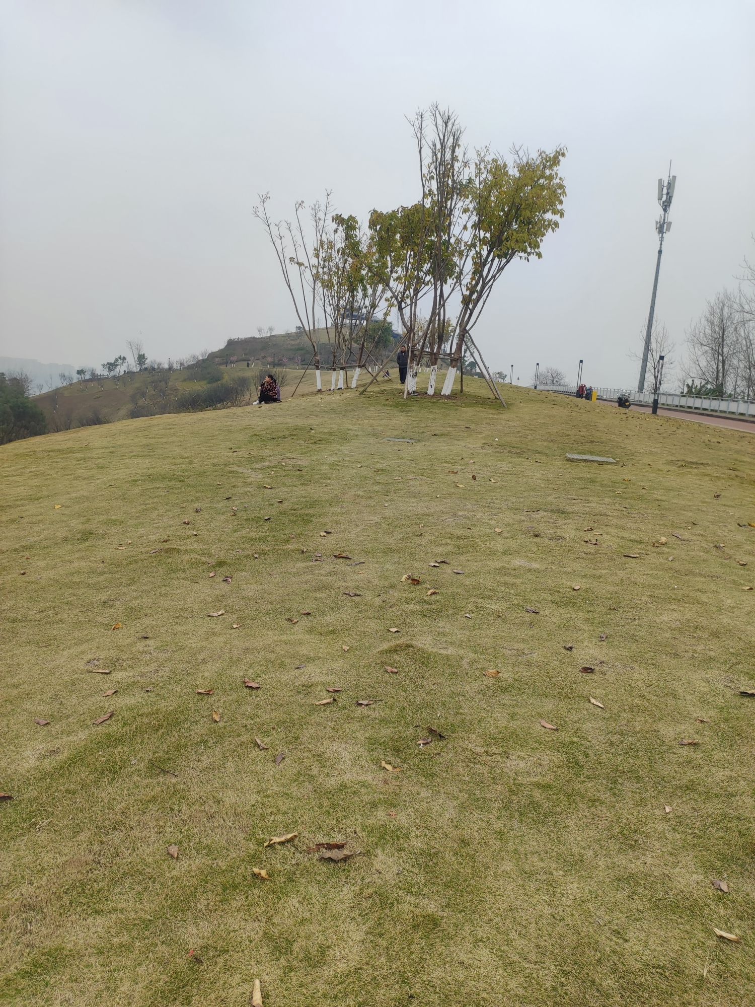 两江嘉美公园旅行图片 2
