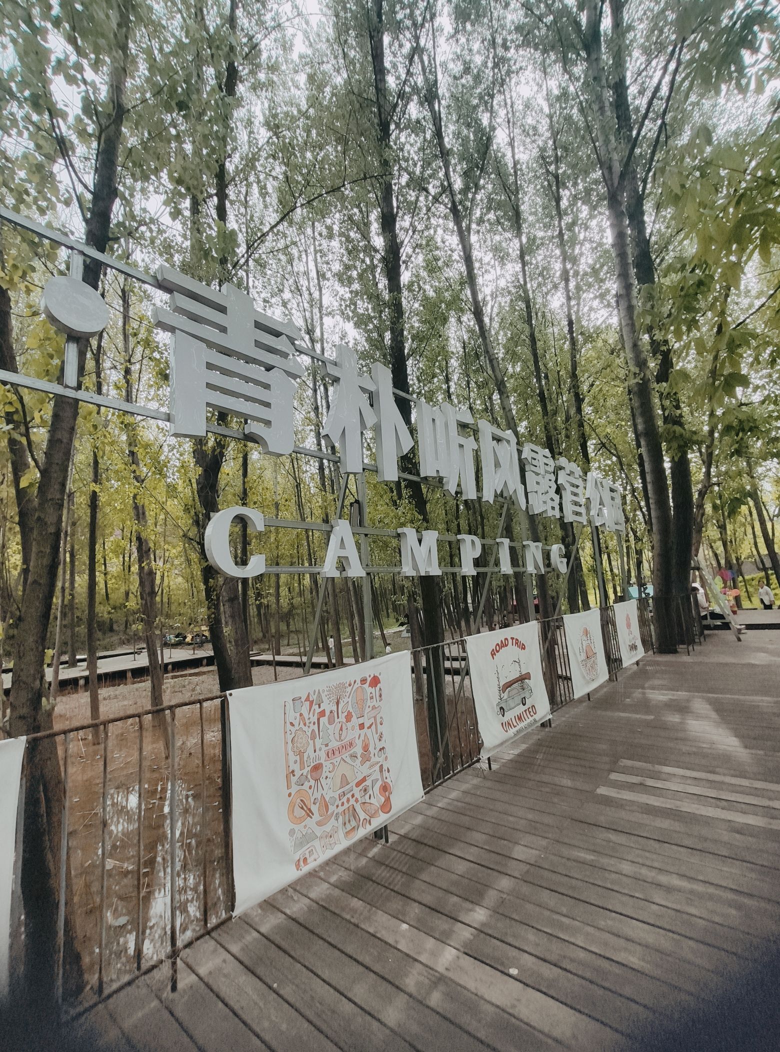 梭椤青朴听风露营公园旅行图片 3