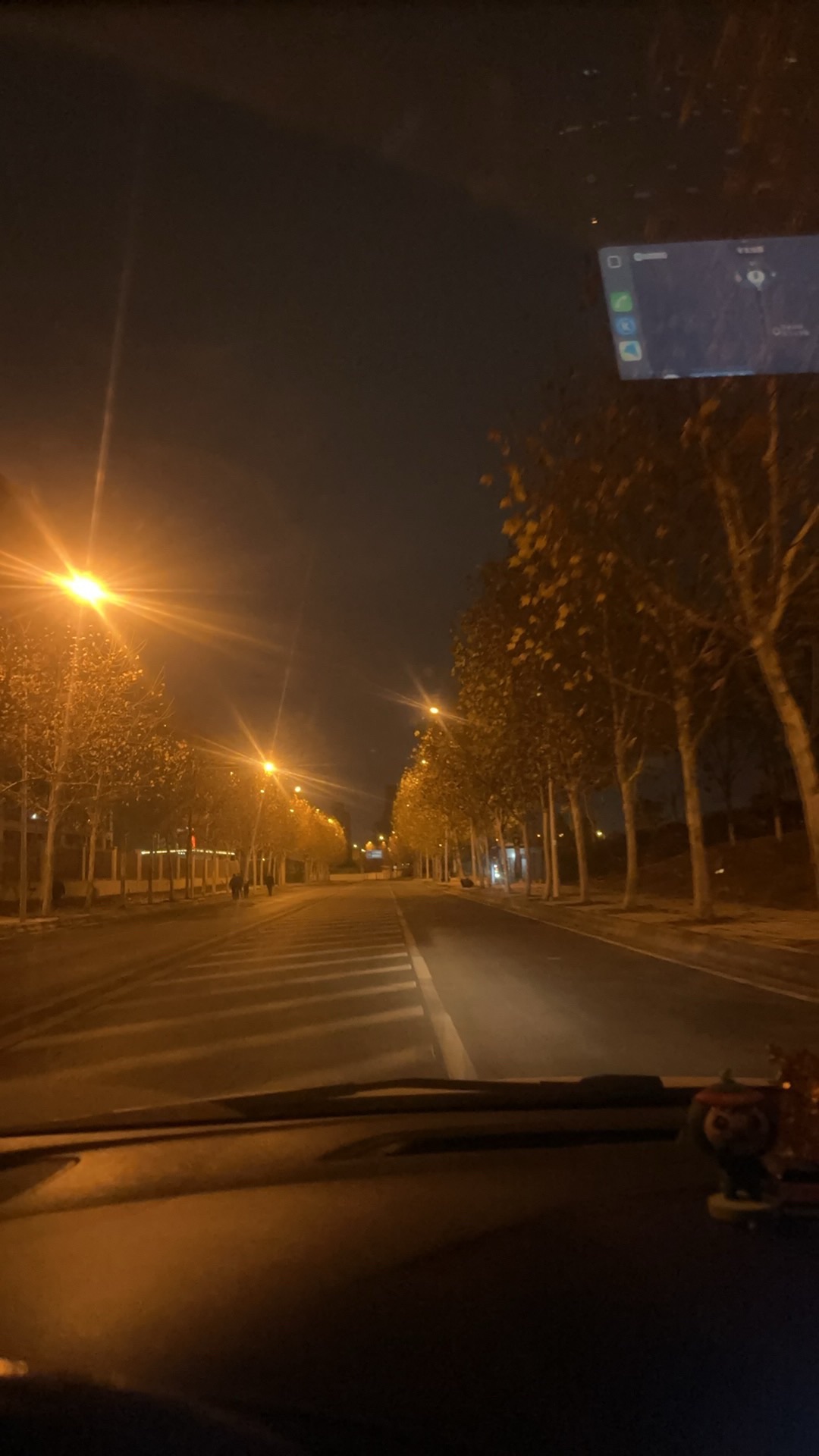 天创黄金时代-彩虹公园旅行图片 1