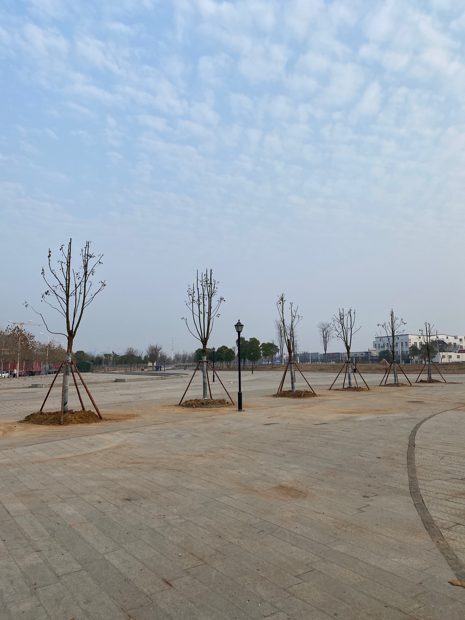 天创黄金时代-彩虹公园旅行图片 3