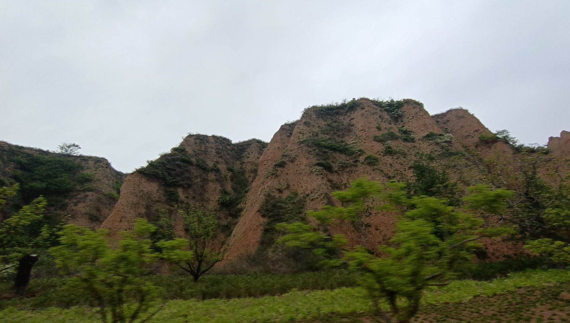 白龙谷旅行图片 3