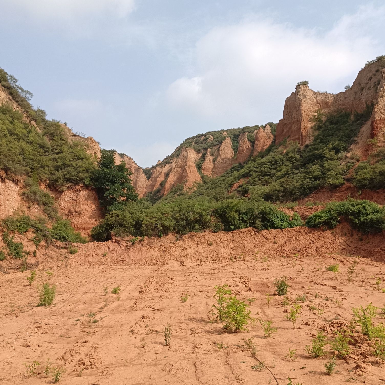 白龙谷旅行图片 2