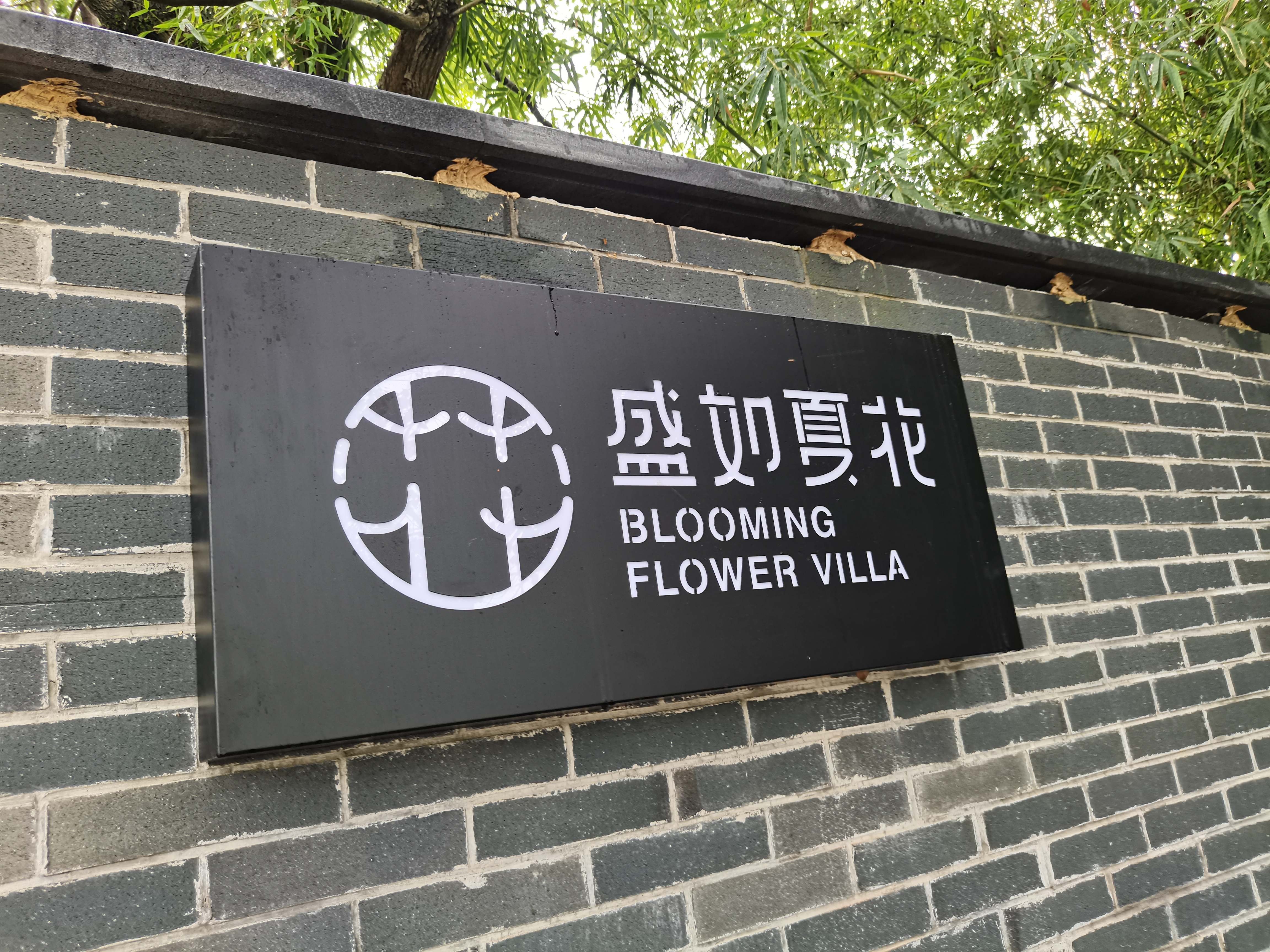 场地封面-盛如夏花