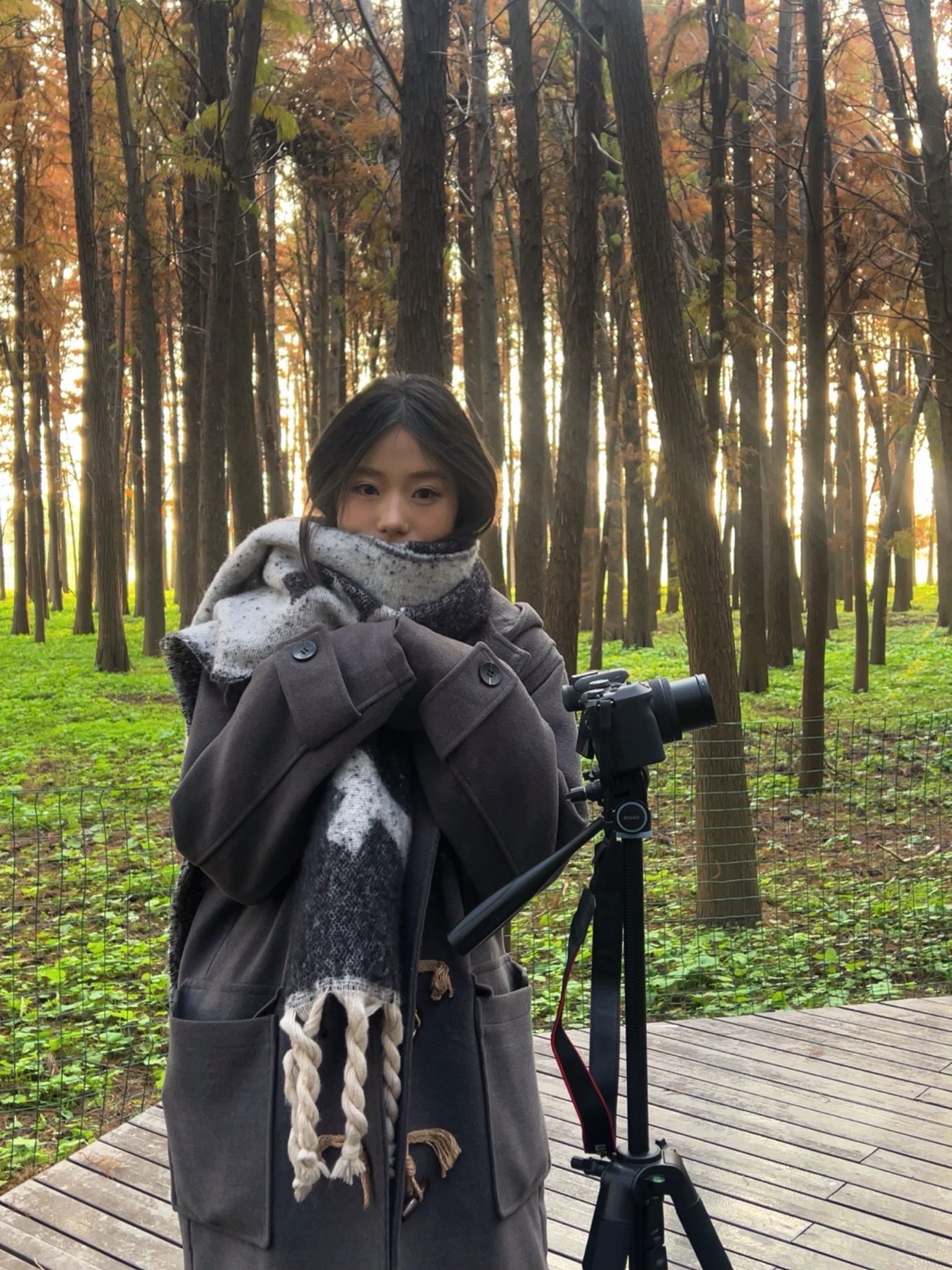 池杉白鹭秘境旅行图片 2