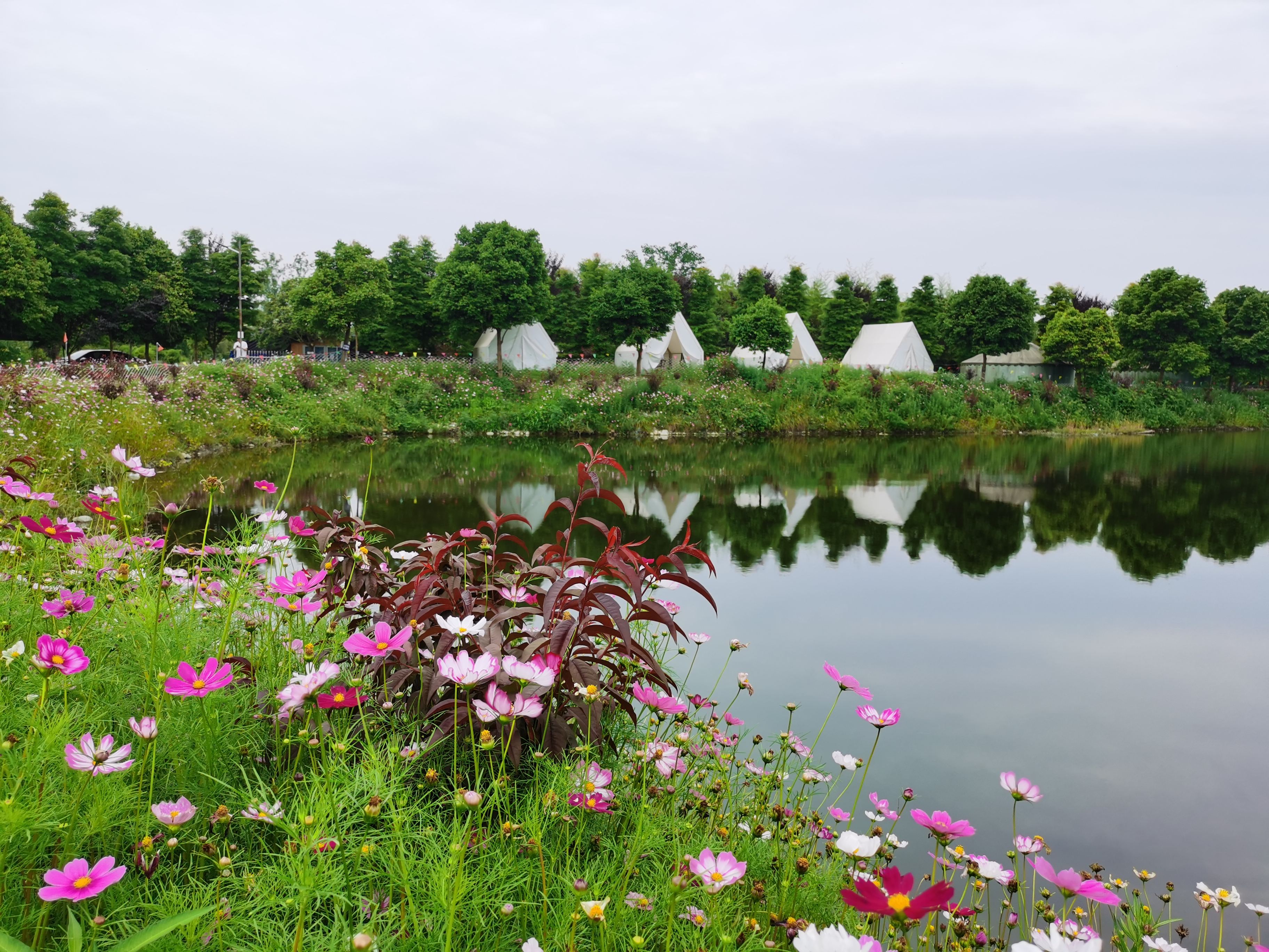 场地封面-沈家船营地