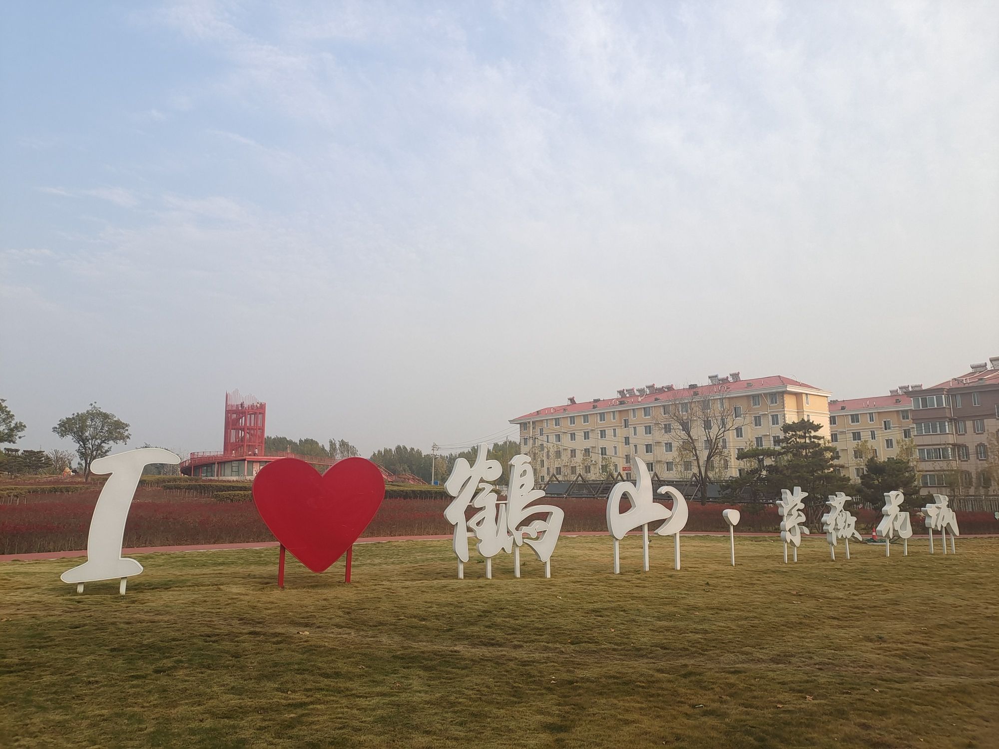 鹤山区康家村紫薇花城旅行图片 1