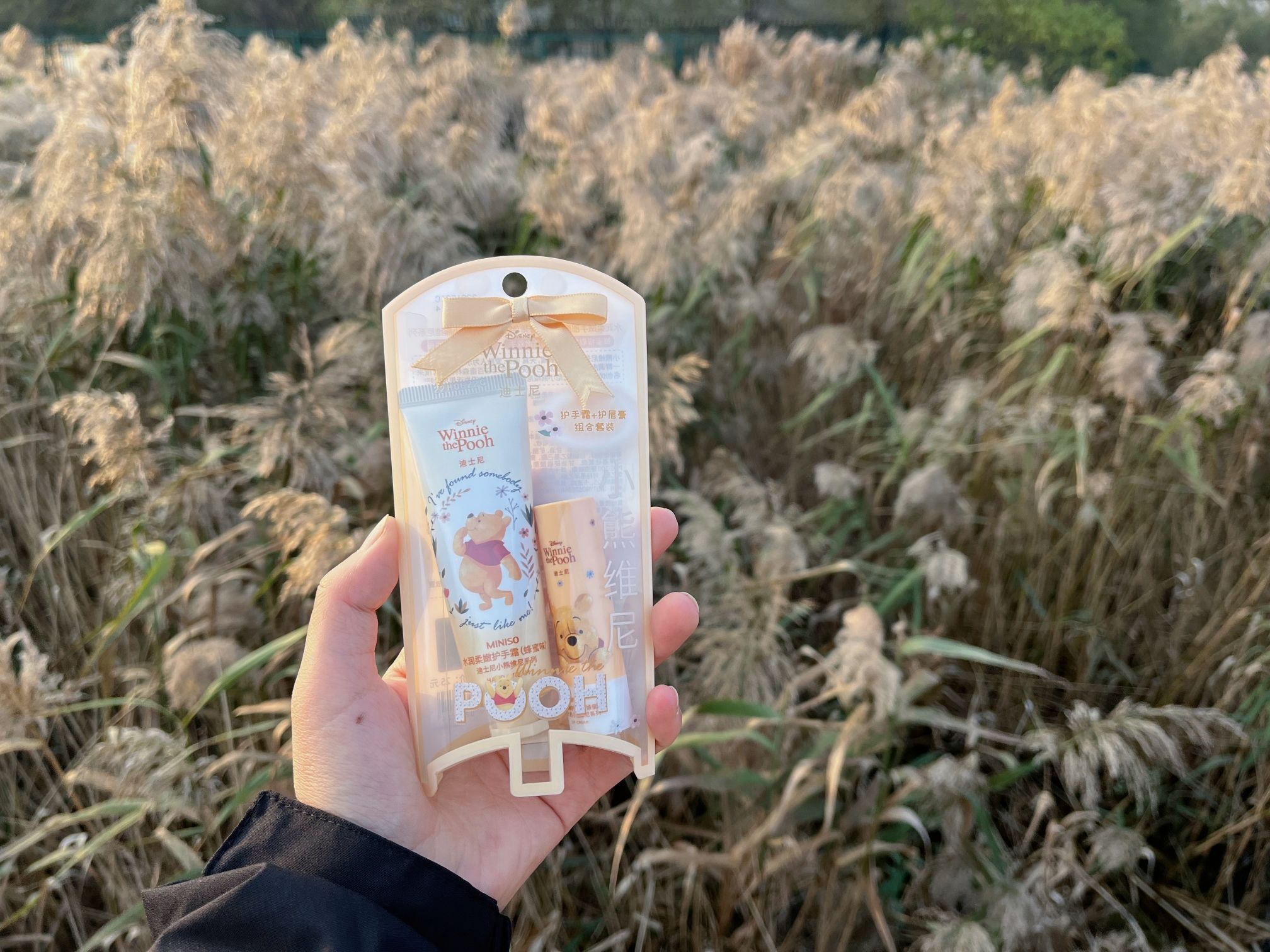 鹤山区康家村紫薇花城旅行图片 2