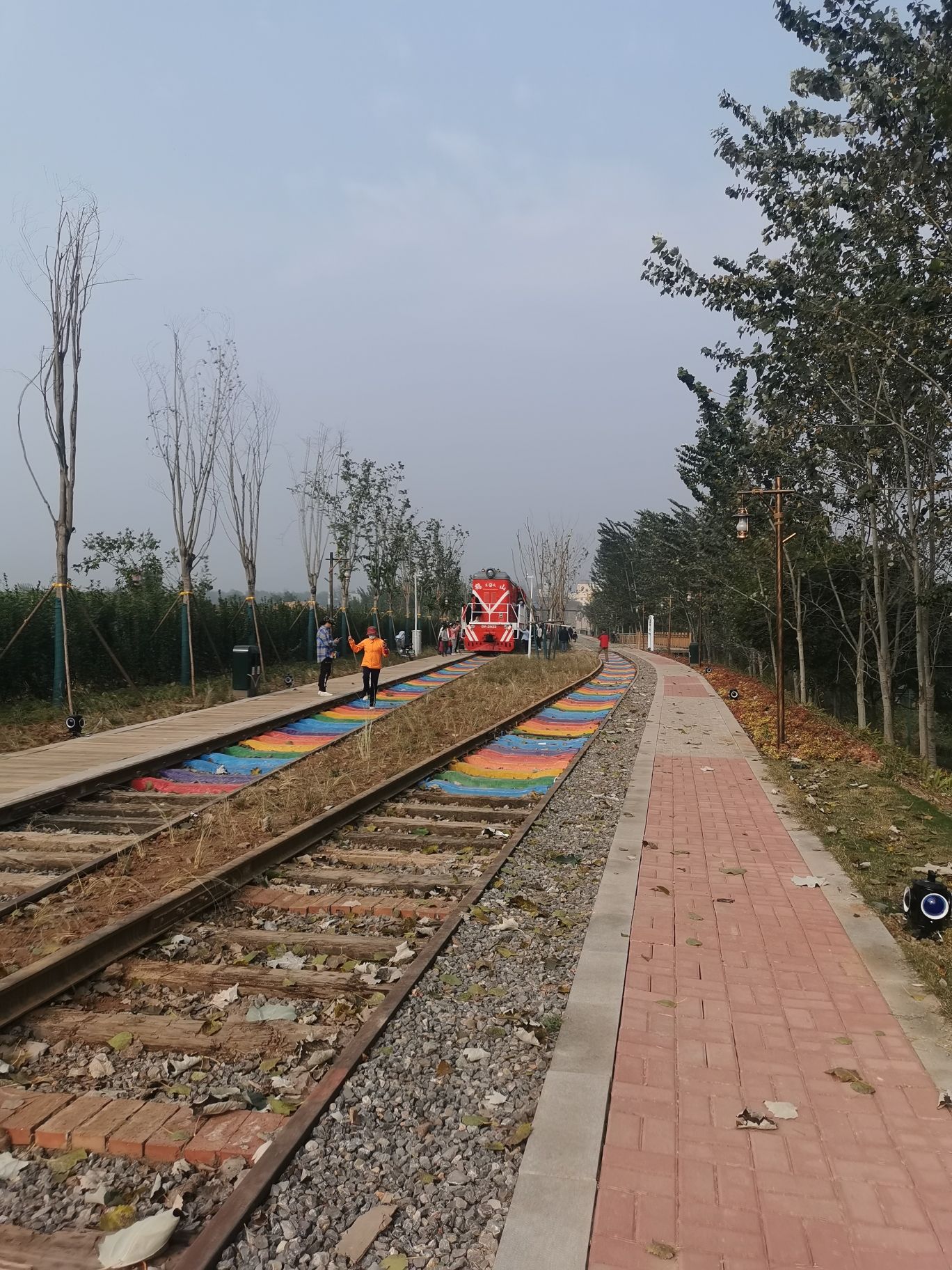 鹤山区康家村紫薇花城旅行图片 3