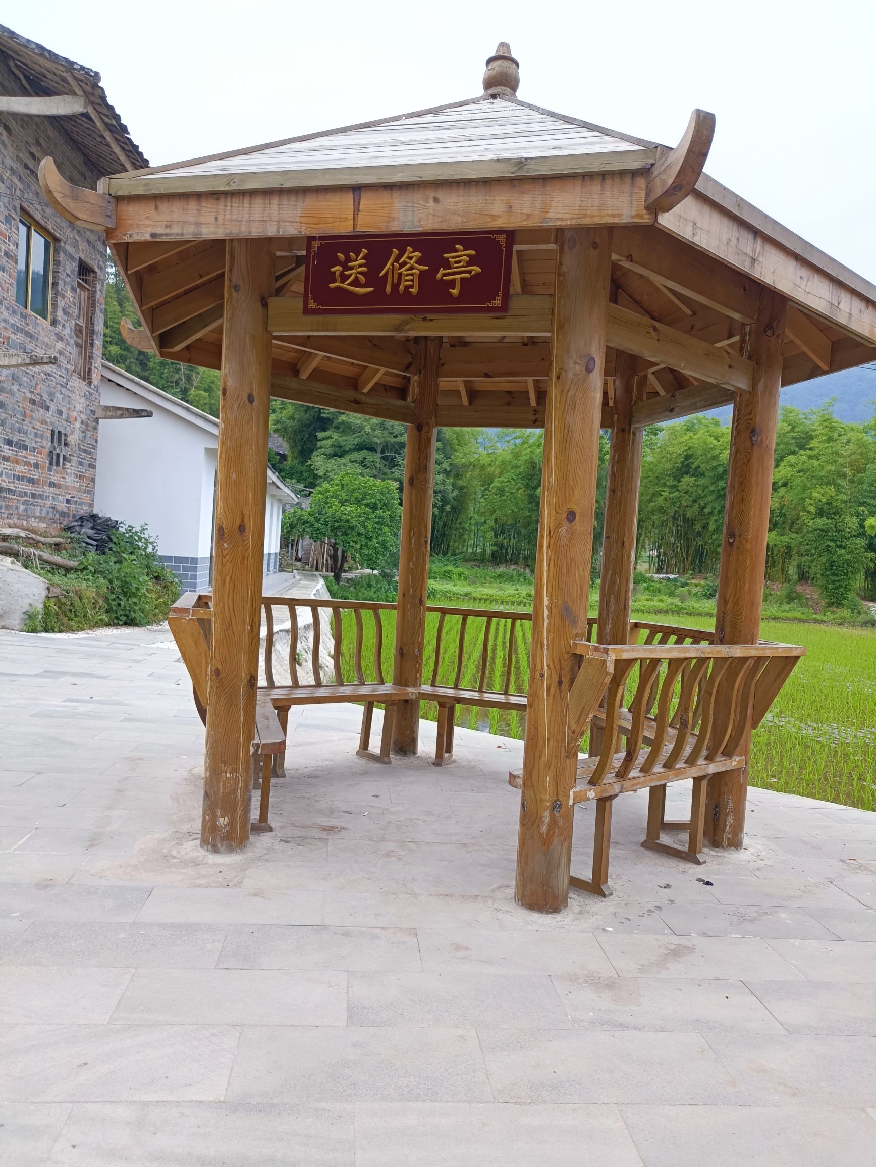 江国霖故里旅行图片 3