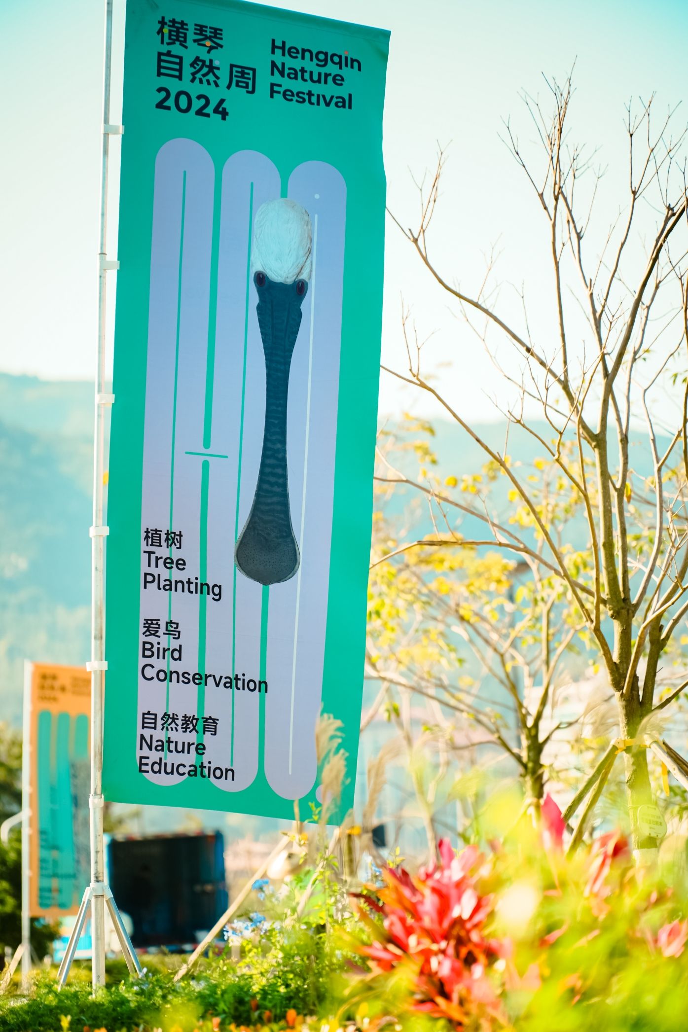 横琴赛艇公园旅行图片 1