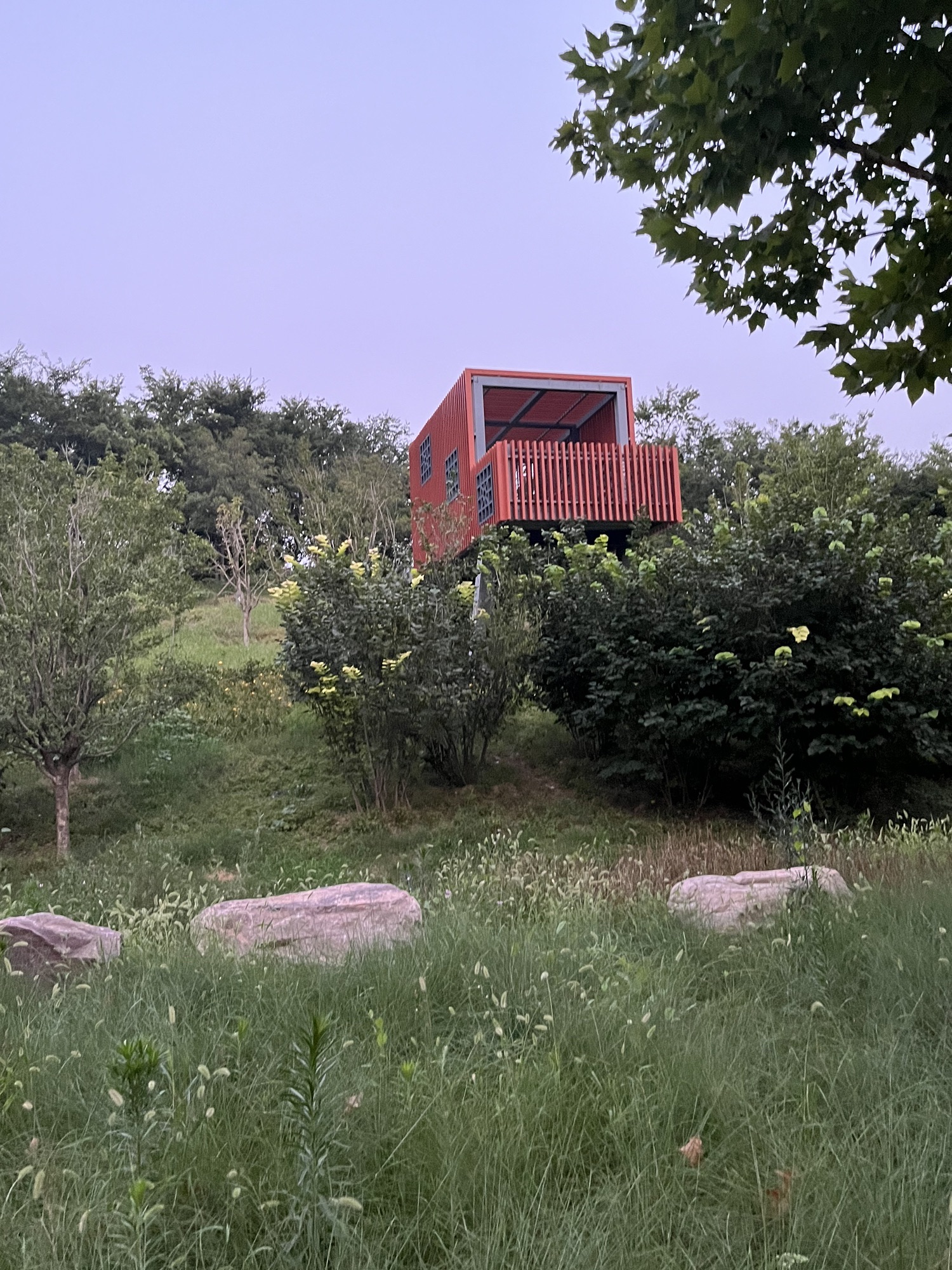 贾鲁河花木艺术公园旅行图片 1