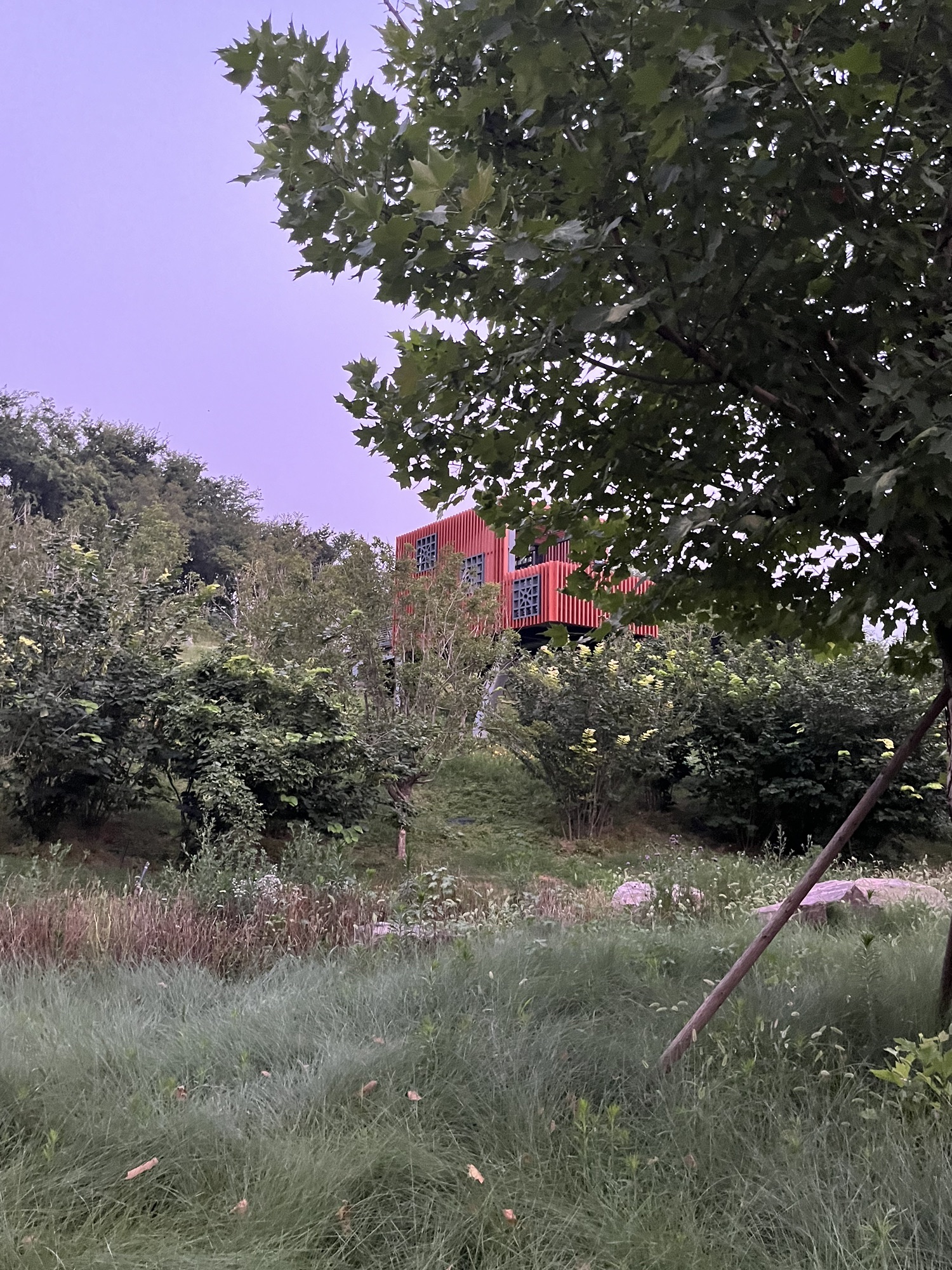 贾鲁河花木艺术公园旅行图片 3
