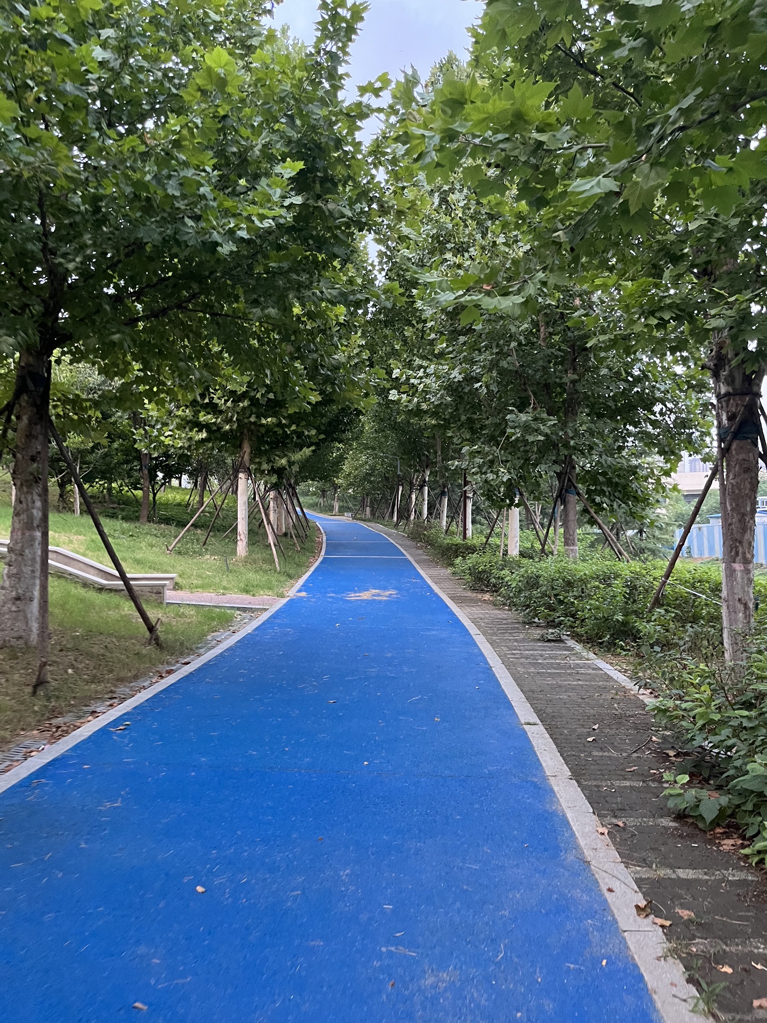 贾鲁河花木艺术公园旅行图片 2