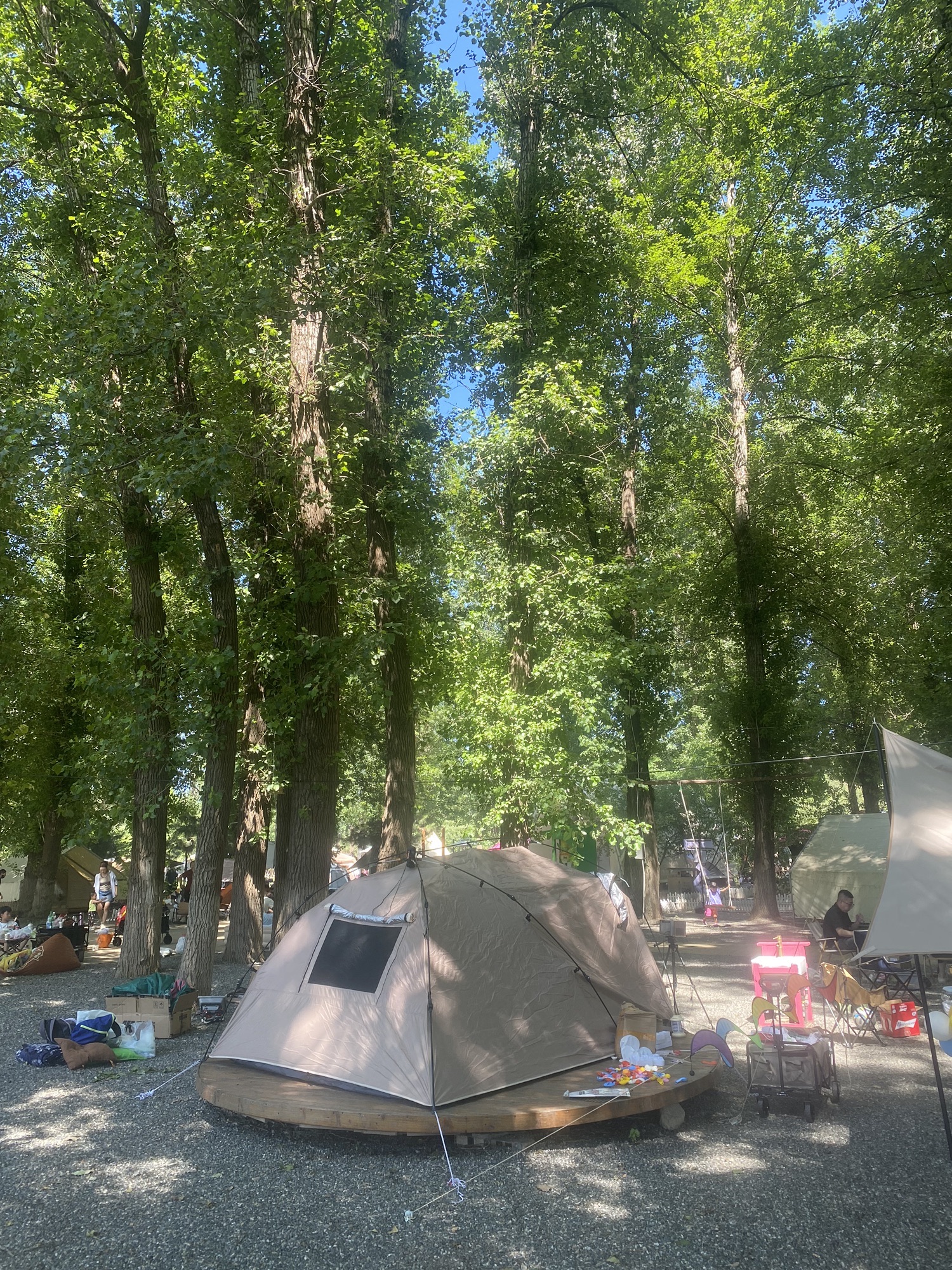 场地封面-杨柳岸帐篷露营地