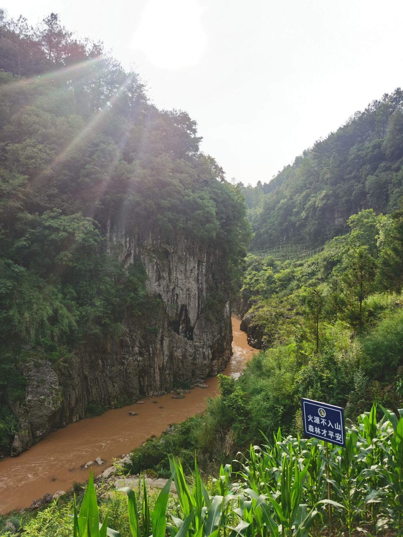 修文索桥旅行图片 3