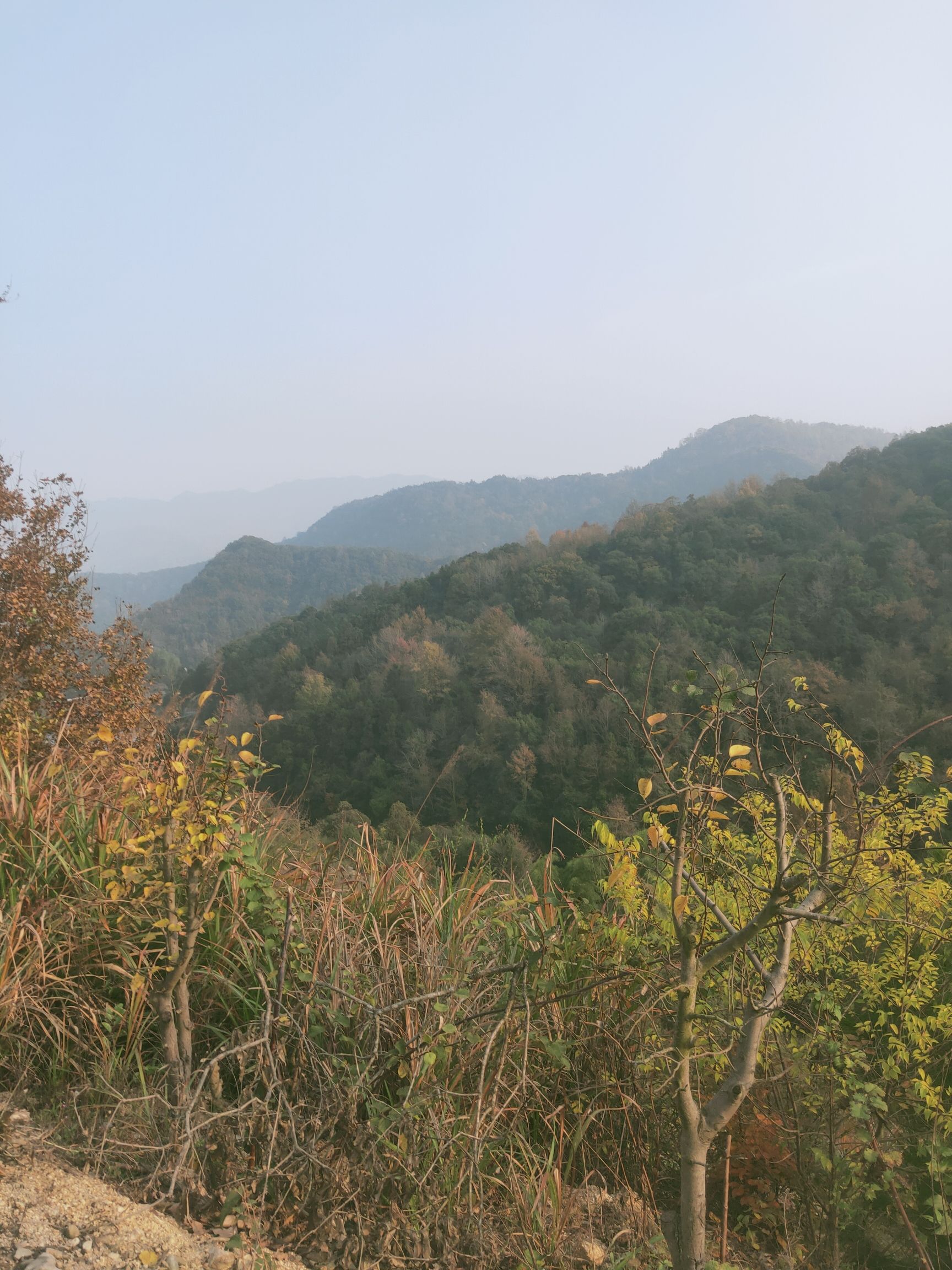屏风里慢谷旅行图片 1