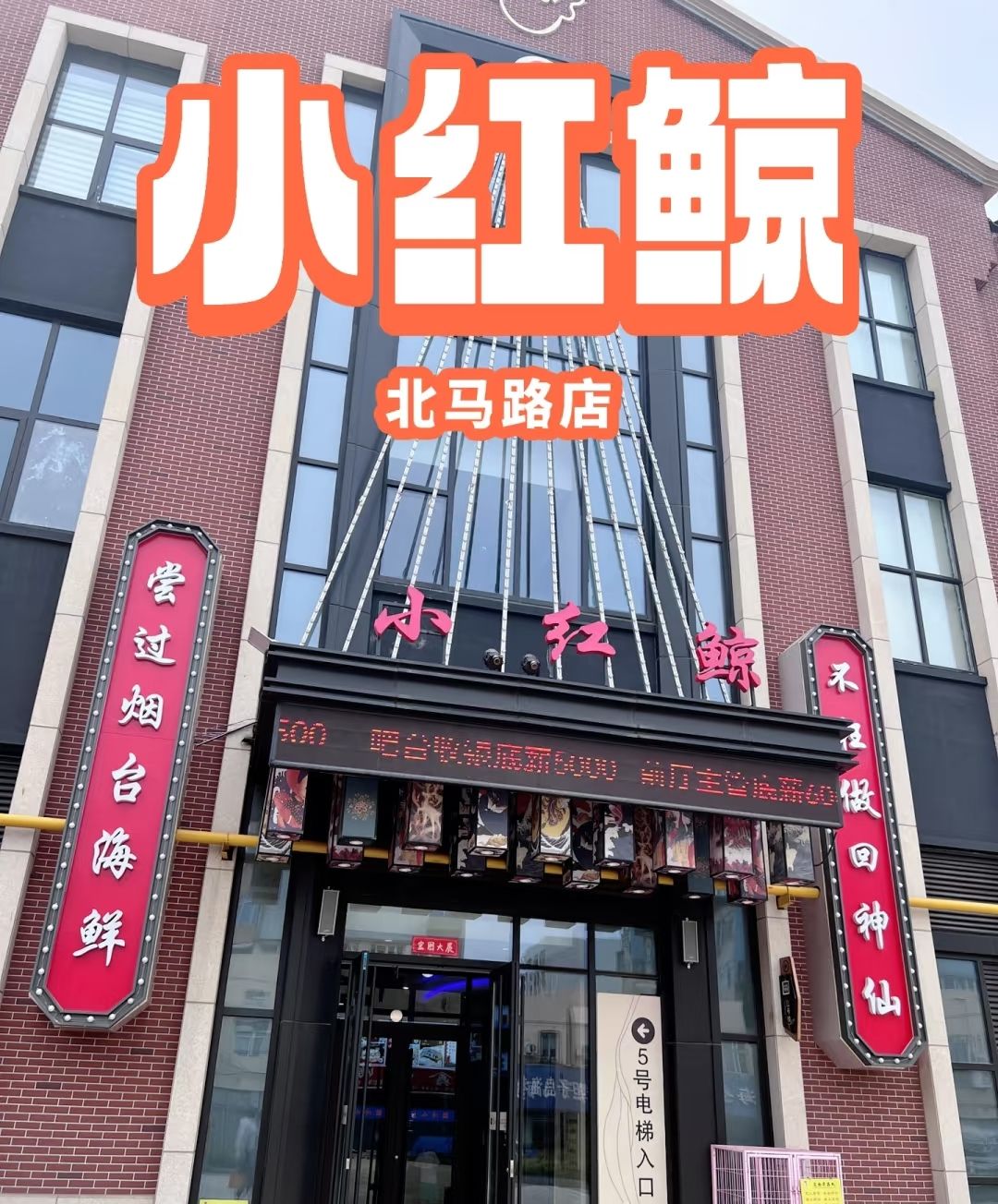 小红鲸·海鲜餐厅(北马路店)