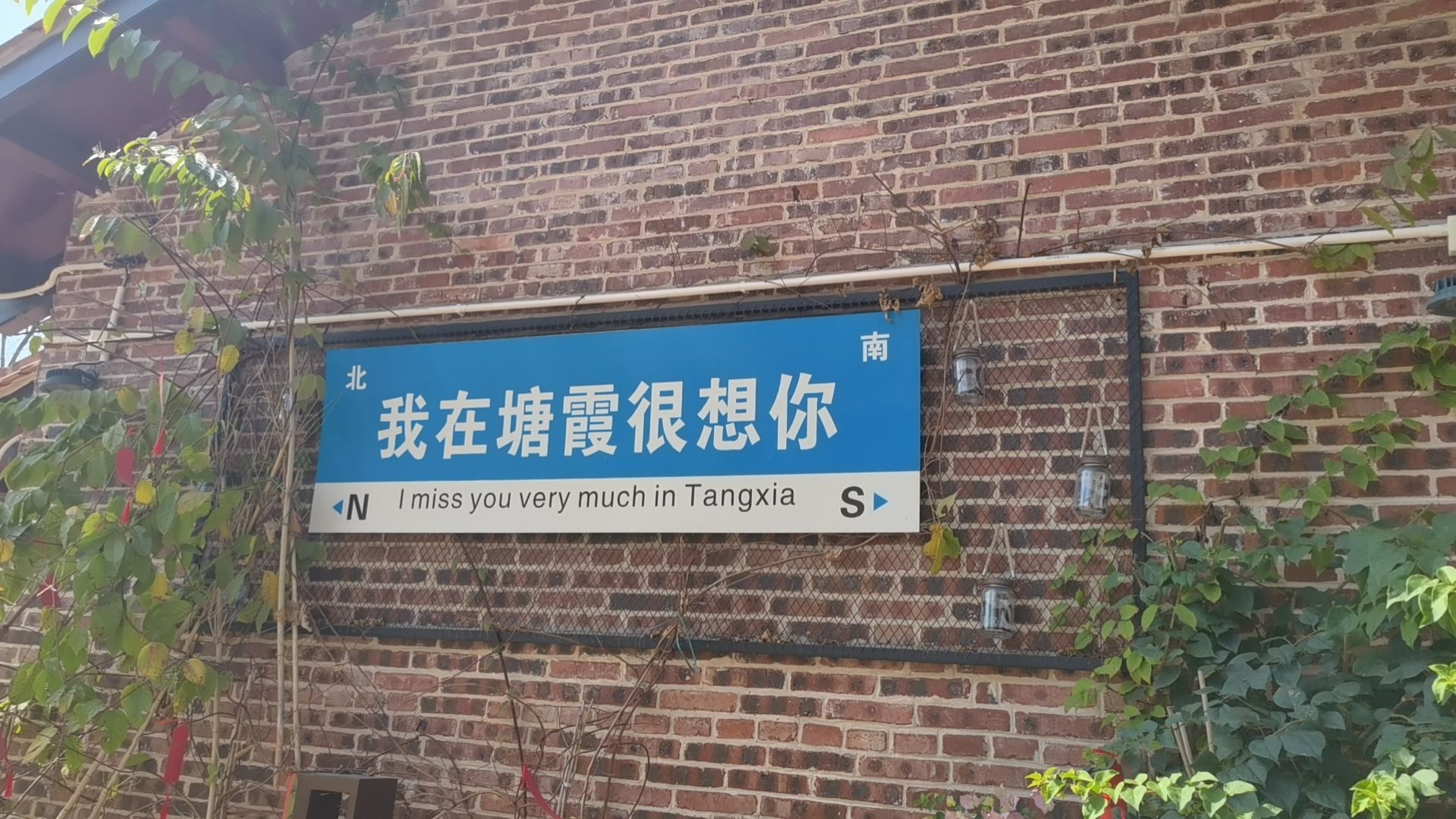 华侨城南海岛塘霞村俚街旅行图片 3