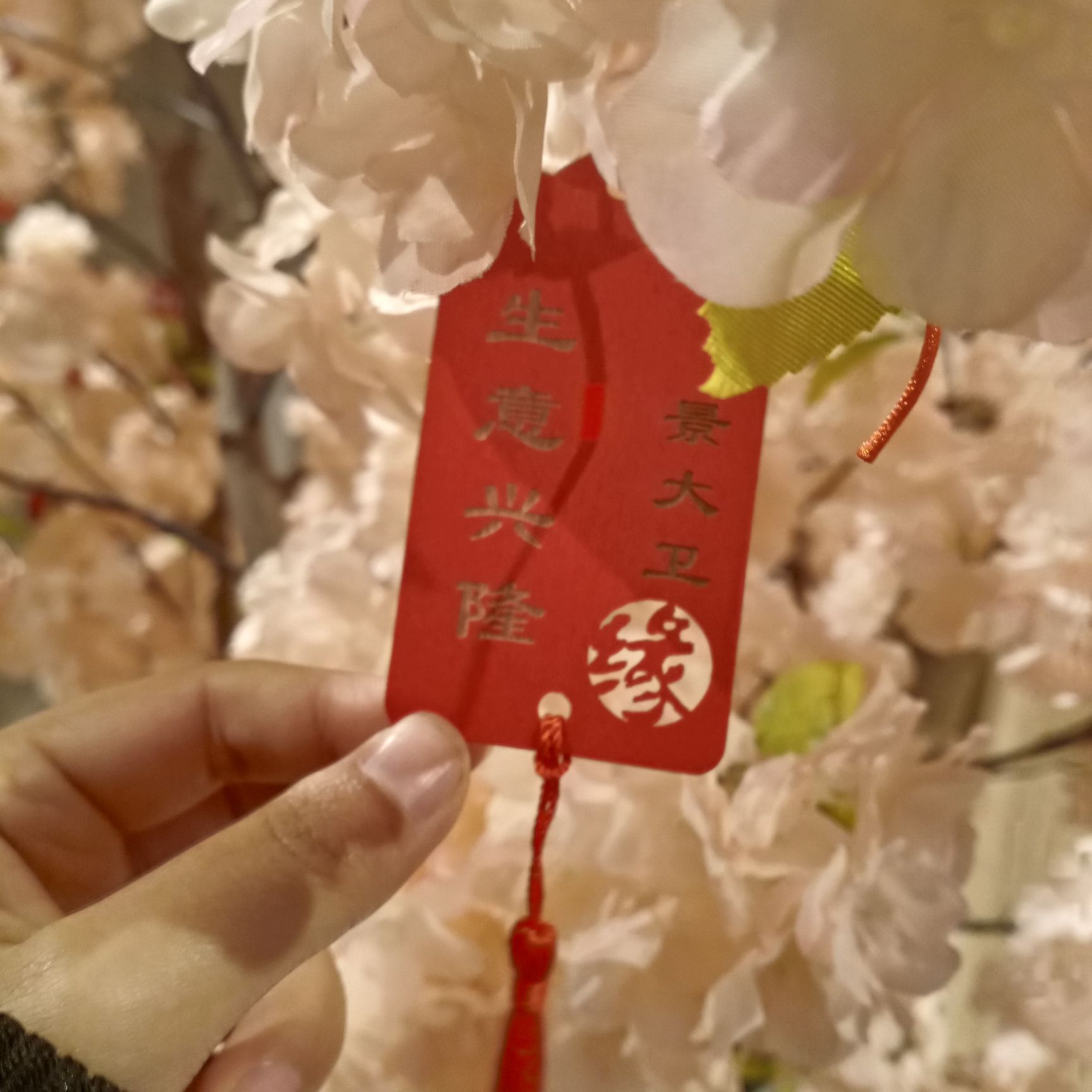 黄芪文化园旅行图片 1