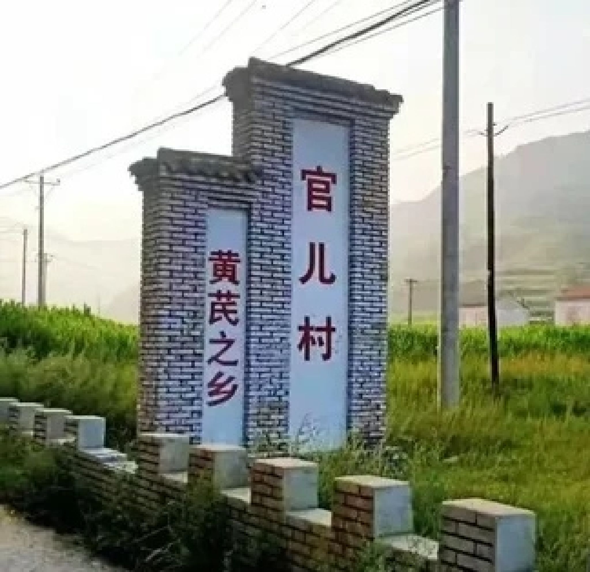 黄芪文化园旅行图片 1
