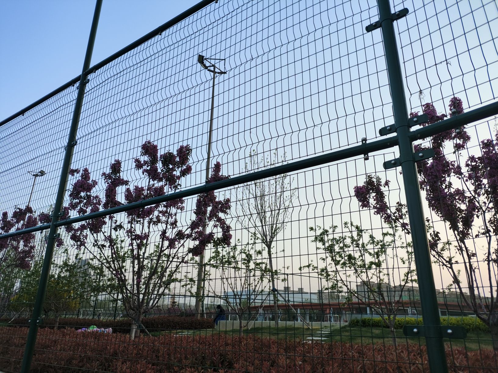 东营体育公园旅行图片 2