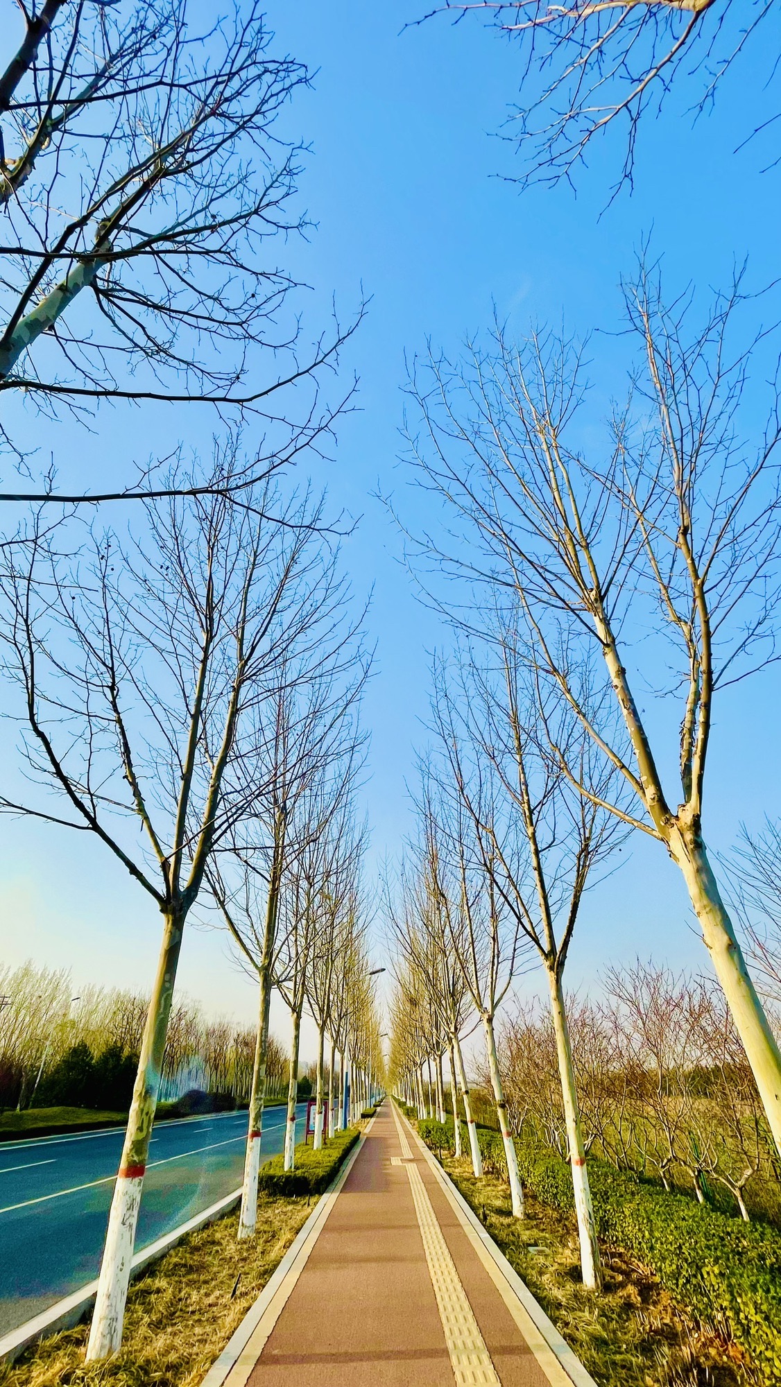 东营体育公园旅行图片 2