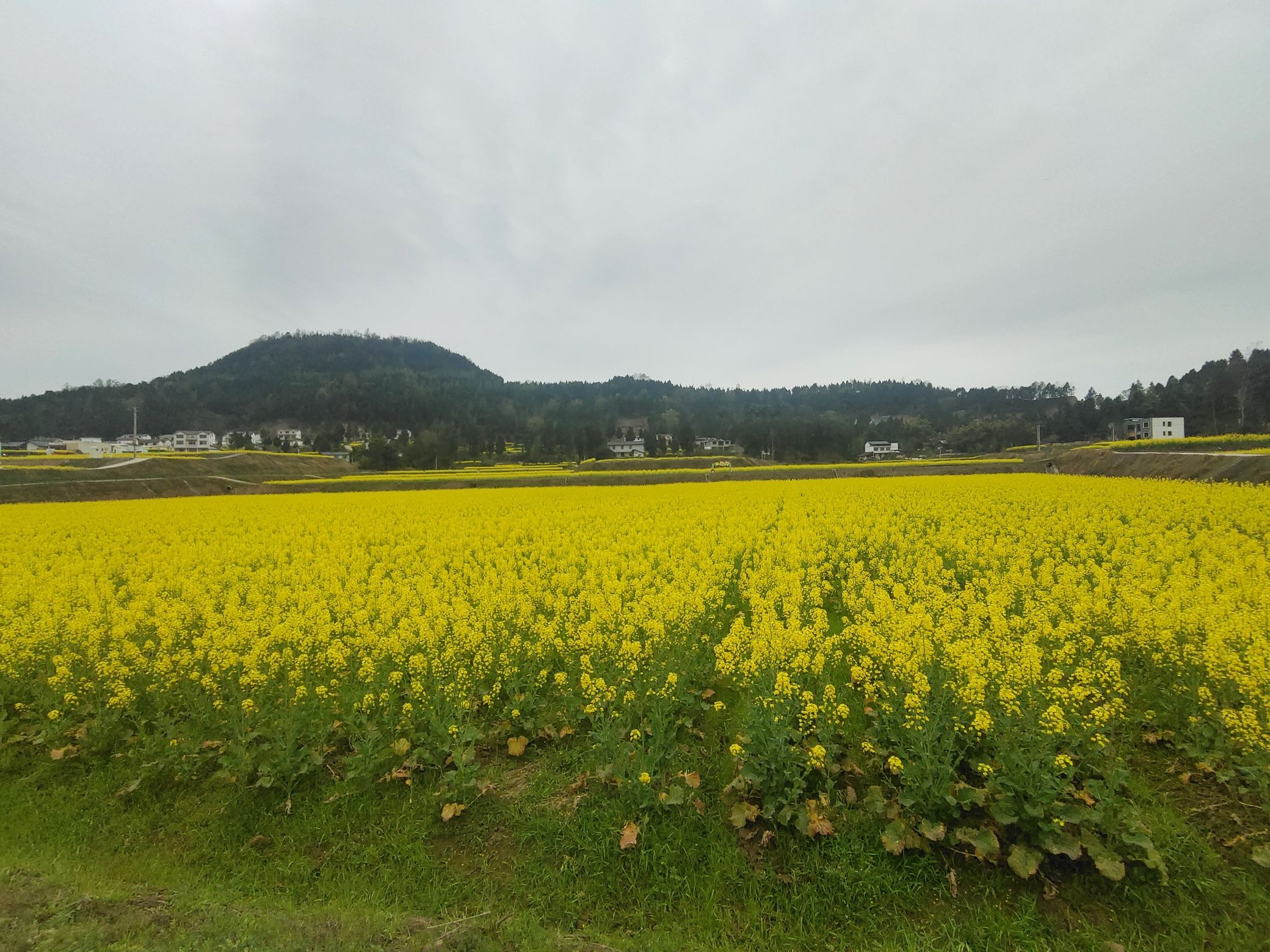 海山情园景区旅行图片 3