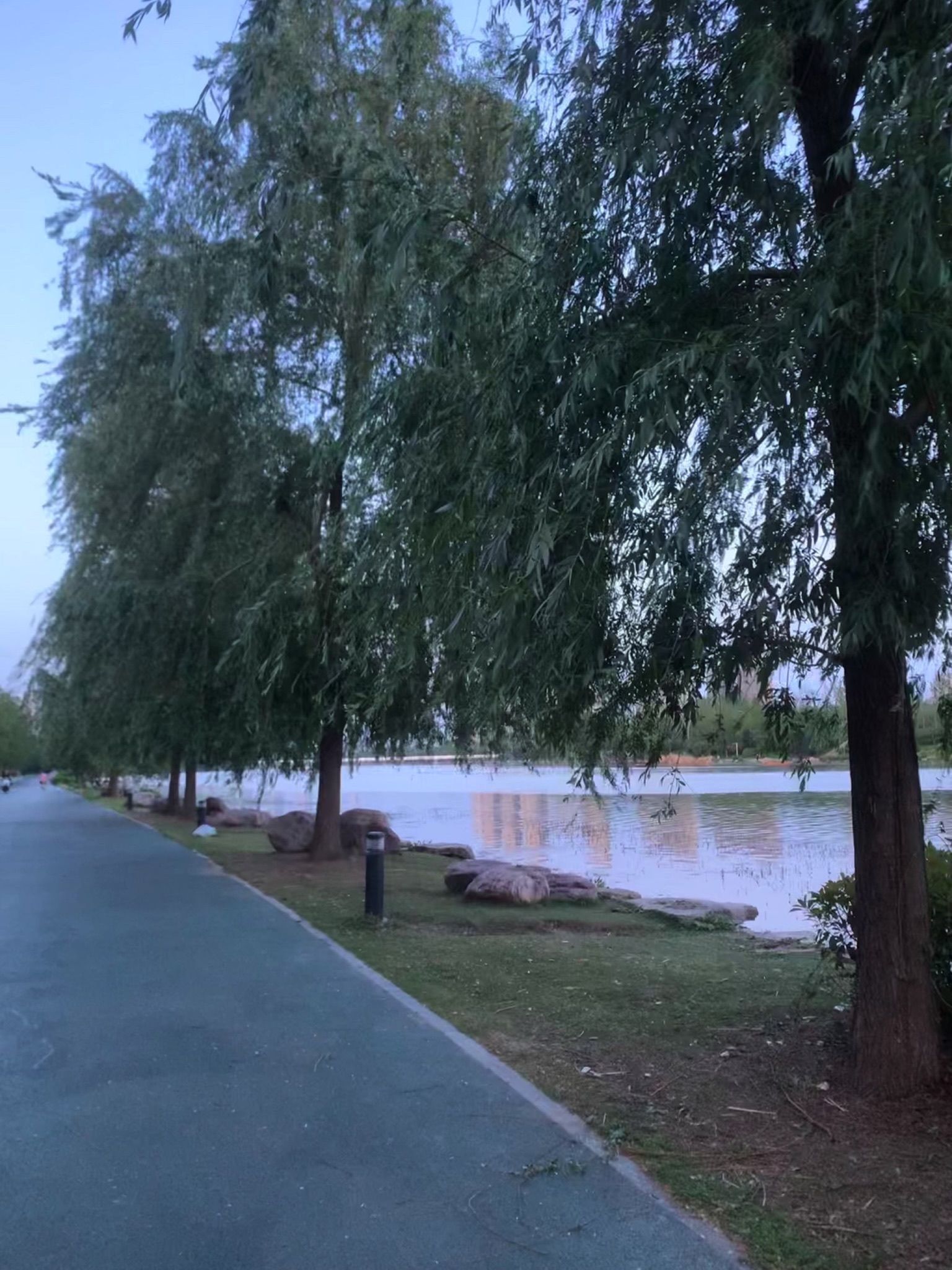 贾鲁河滨河公园旅行图片 1