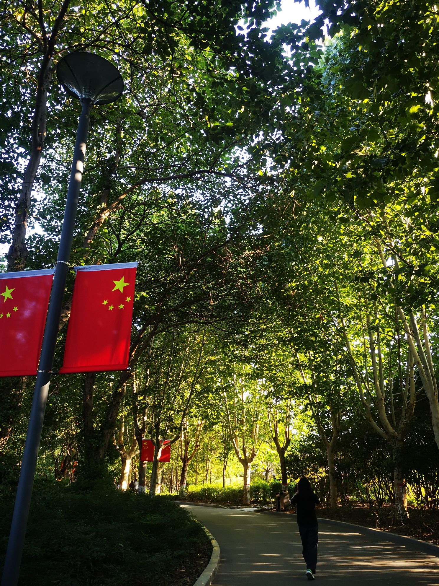 贾鲁河滨河公园旅行图片 1