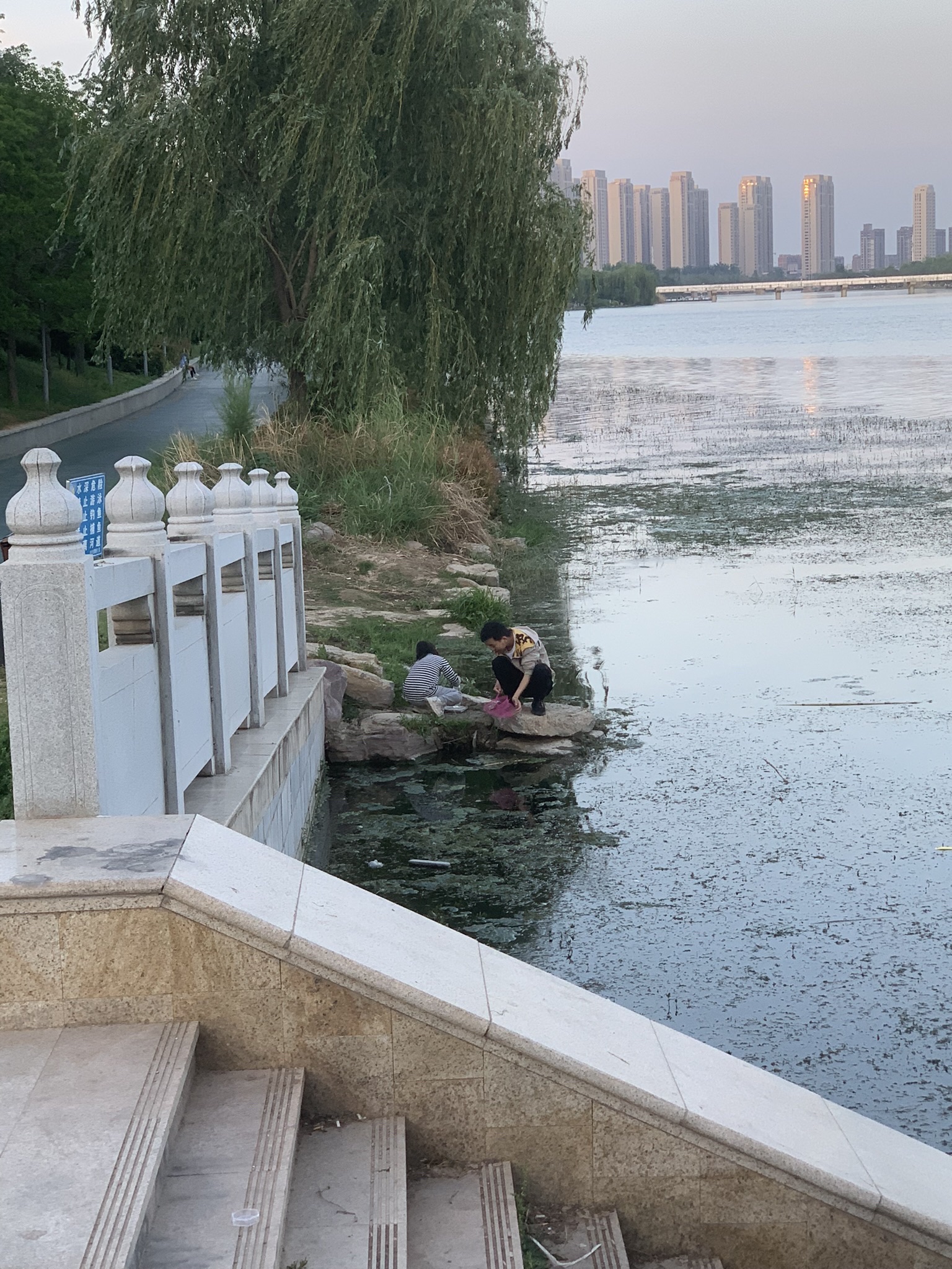 贾鲁河滨河公园旅行图片 2