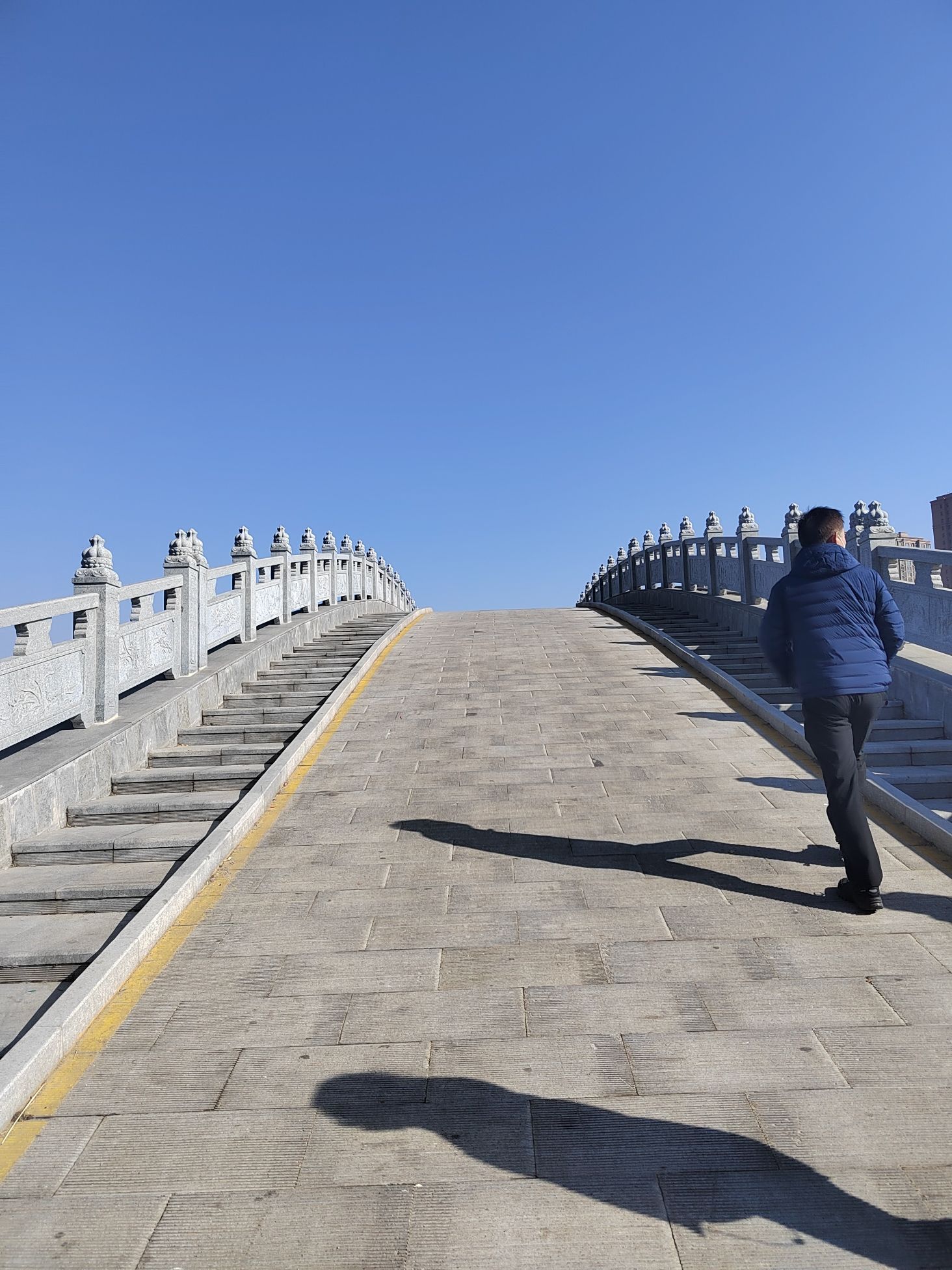 贾鲁河滨河公园旅行图片 2