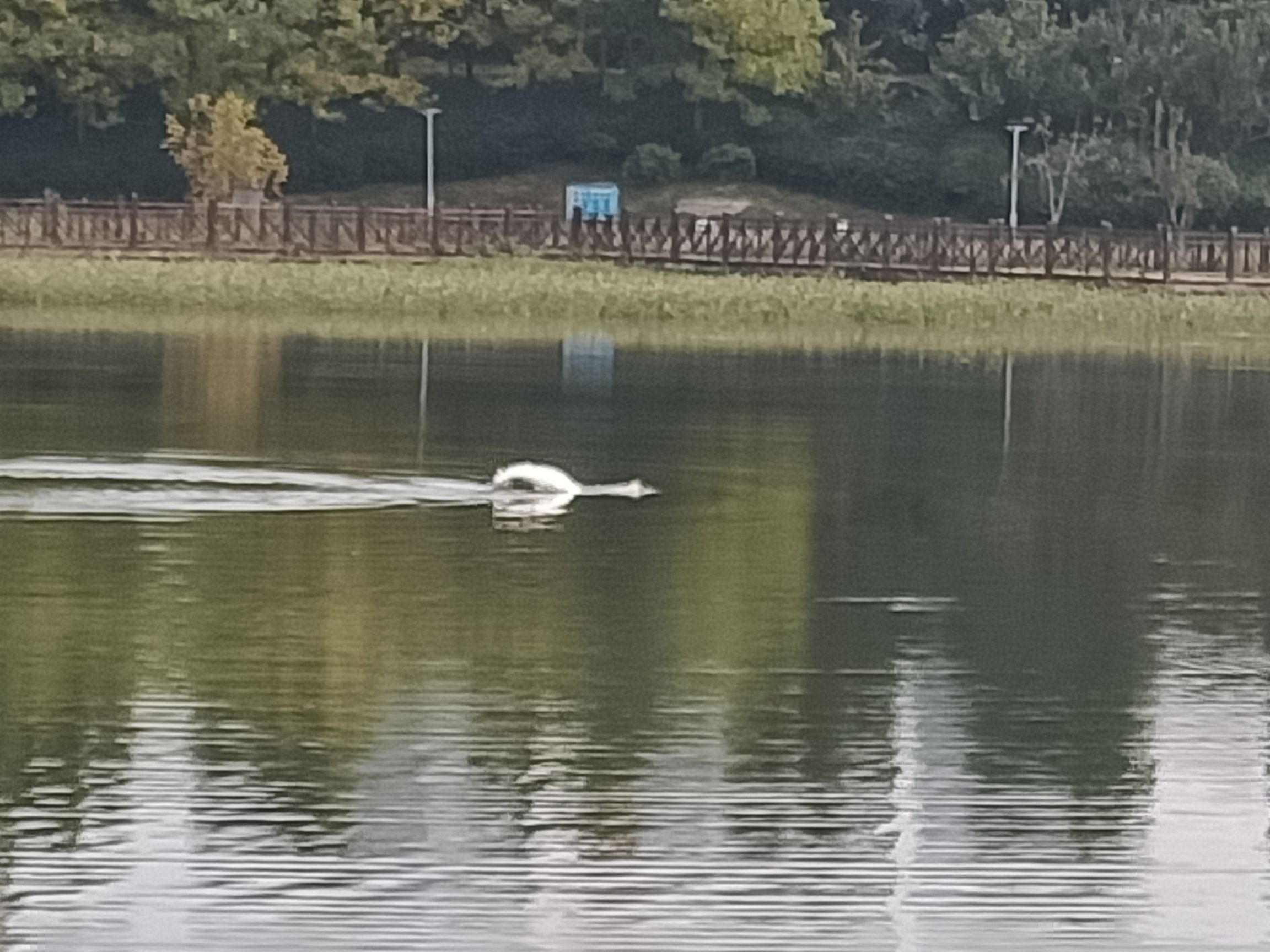 贾鲁河滨河公园旅行图片 3