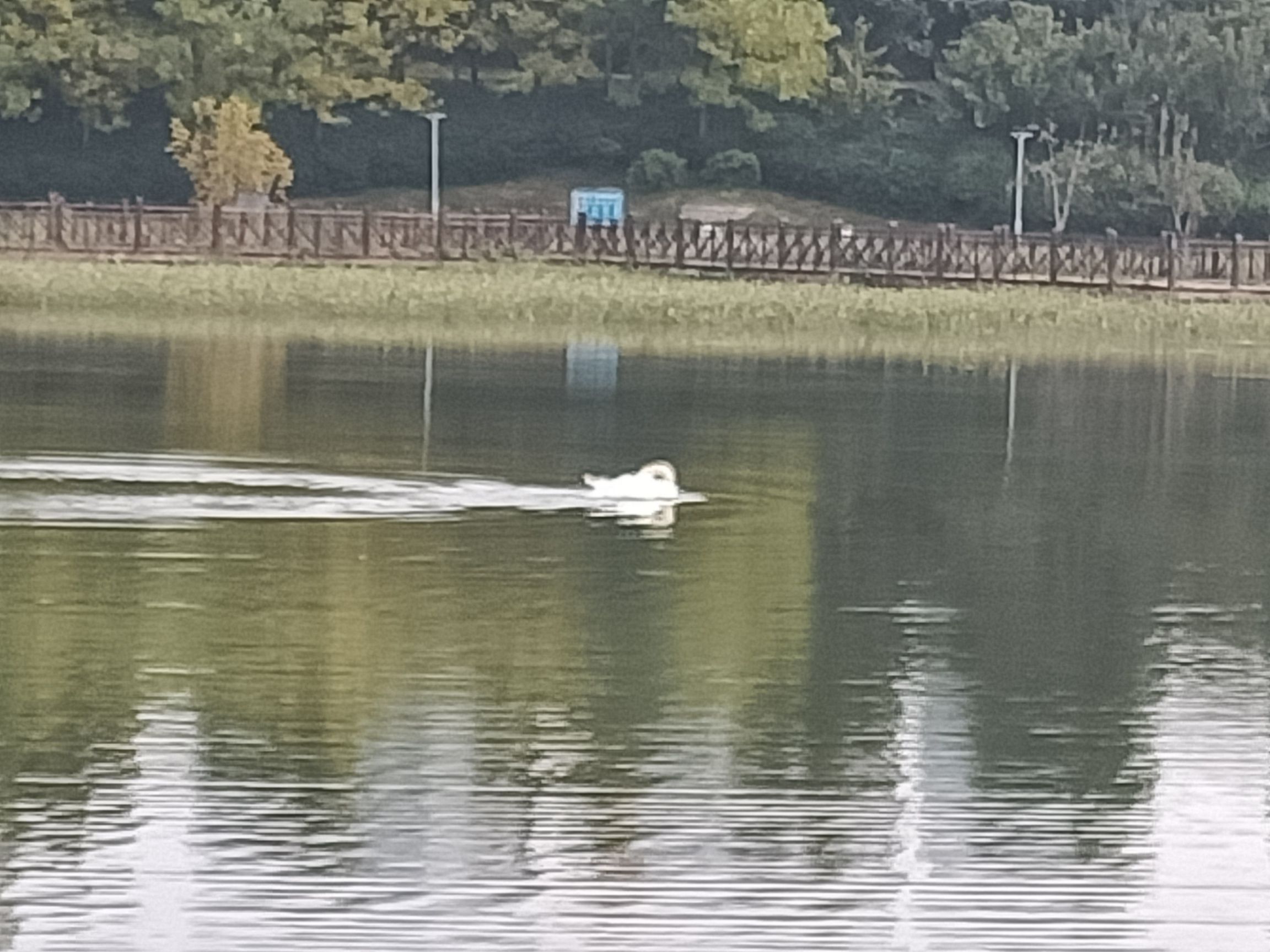 贾鲁河滨河公园旅行图片 1