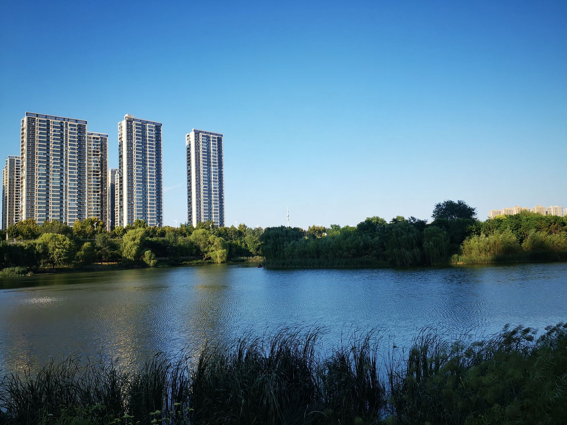 贾鲁河滨河公园旅行图片 2