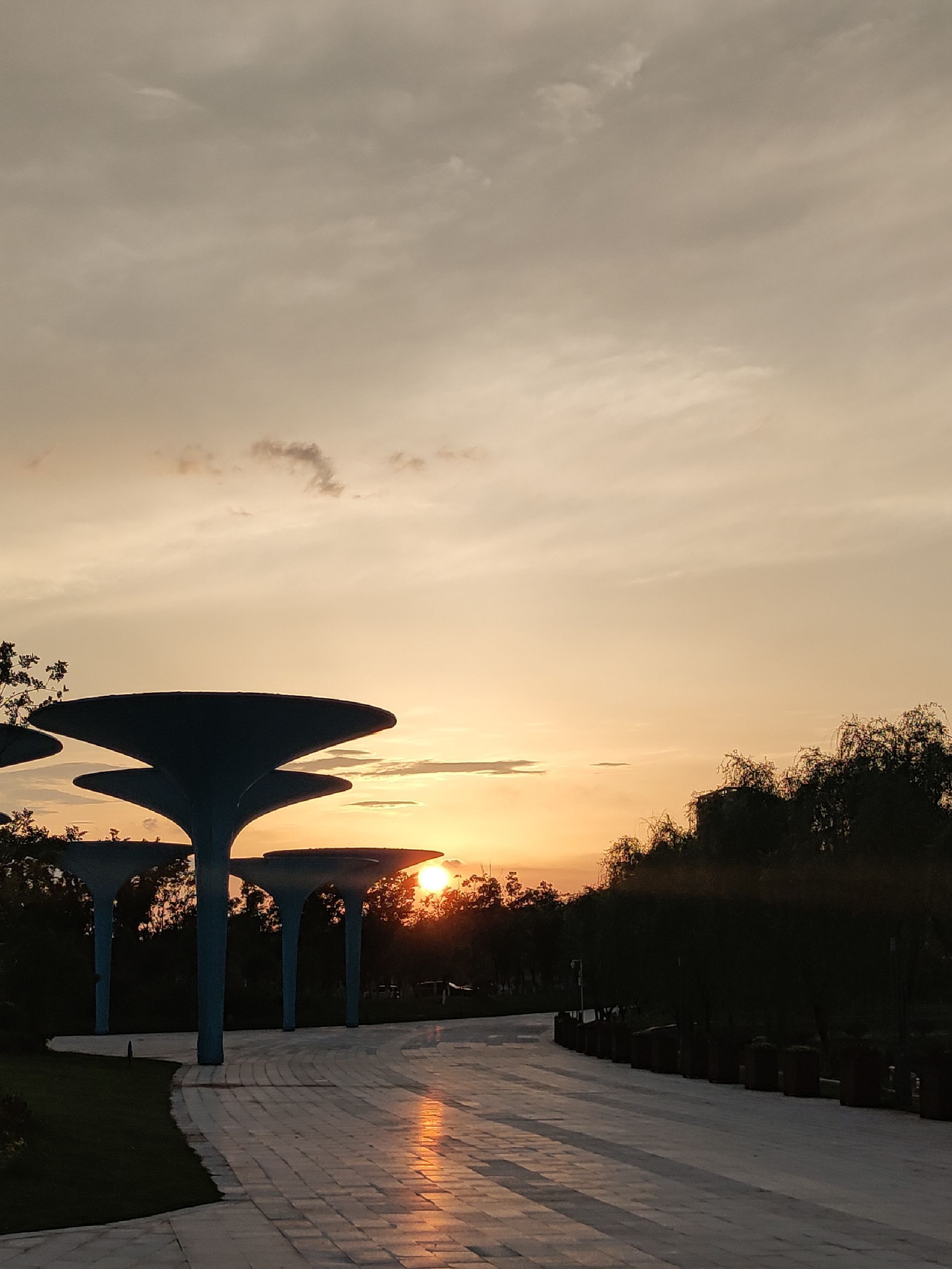 北湖公园旅行图片 1