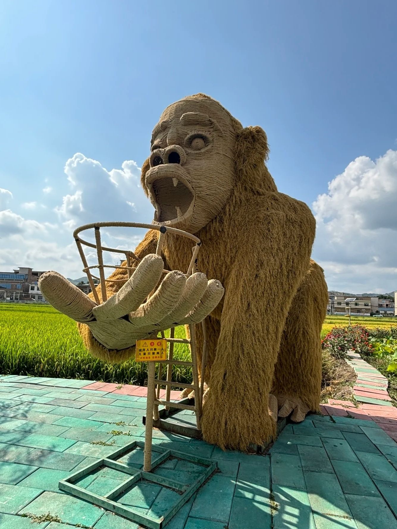 昊禹•稻花乡里旅行图片 3