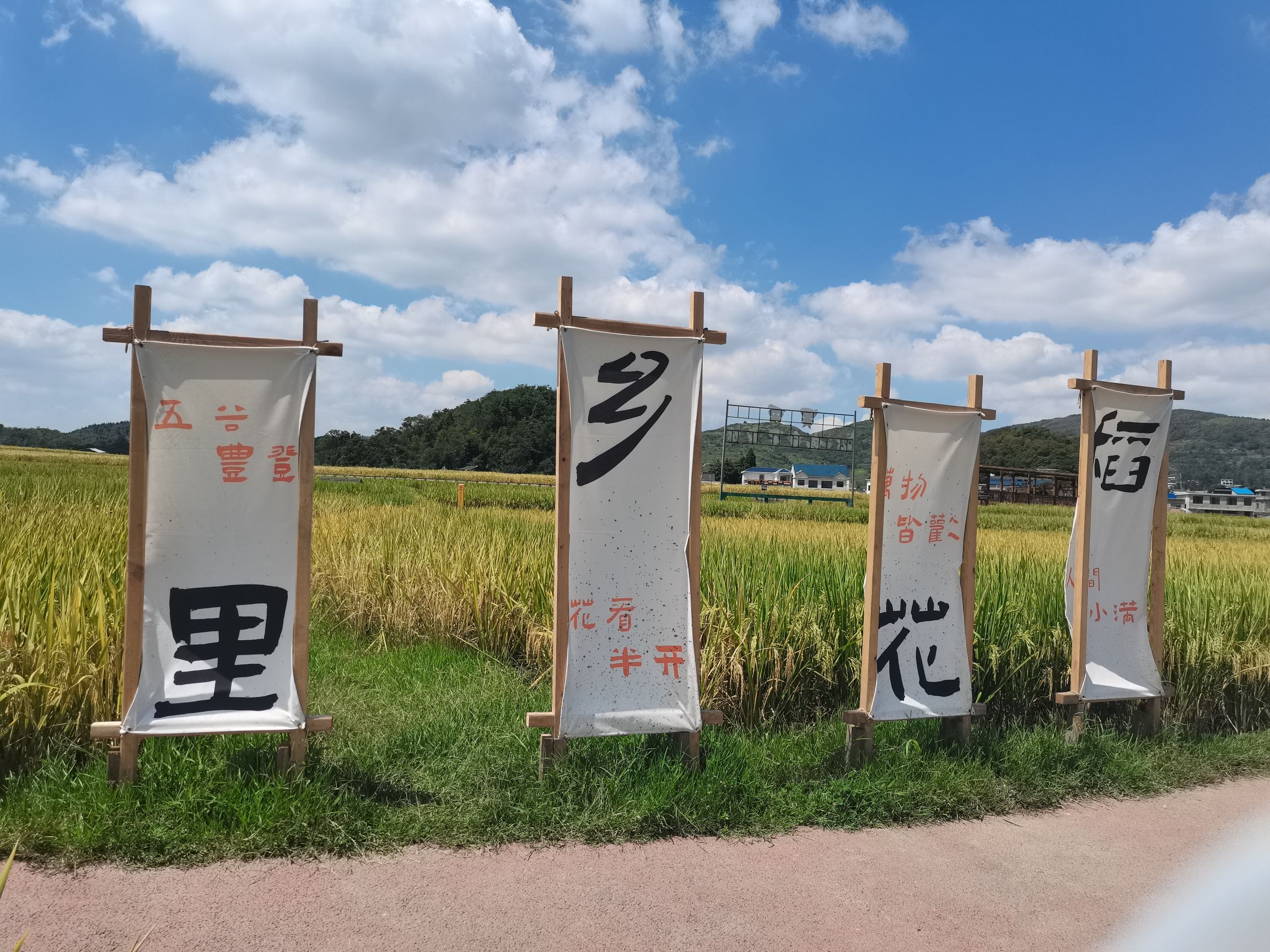 昊禹•稻花乡里旅行图片 3