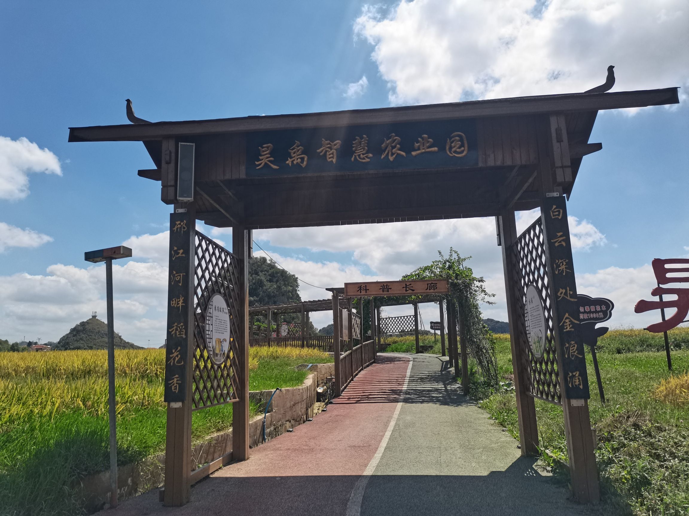 昊禹•稻花乡里旅行图片 2