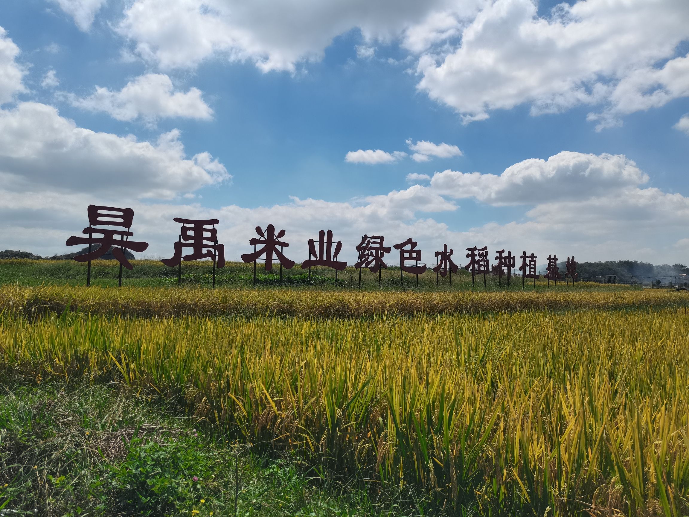 昊禹•稻花乡里旅行图片 1