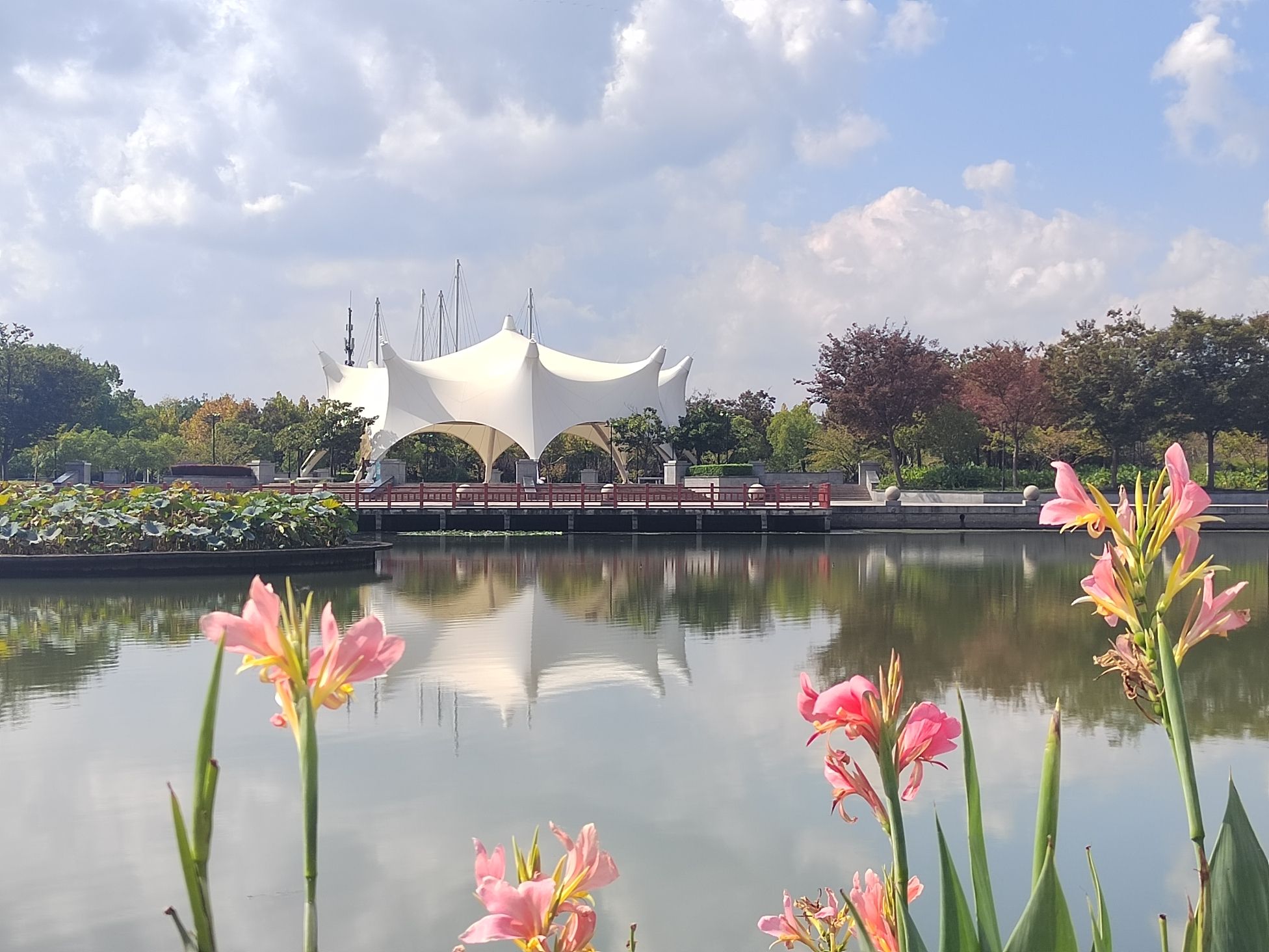 松江中央绿地四期旅行图片 2